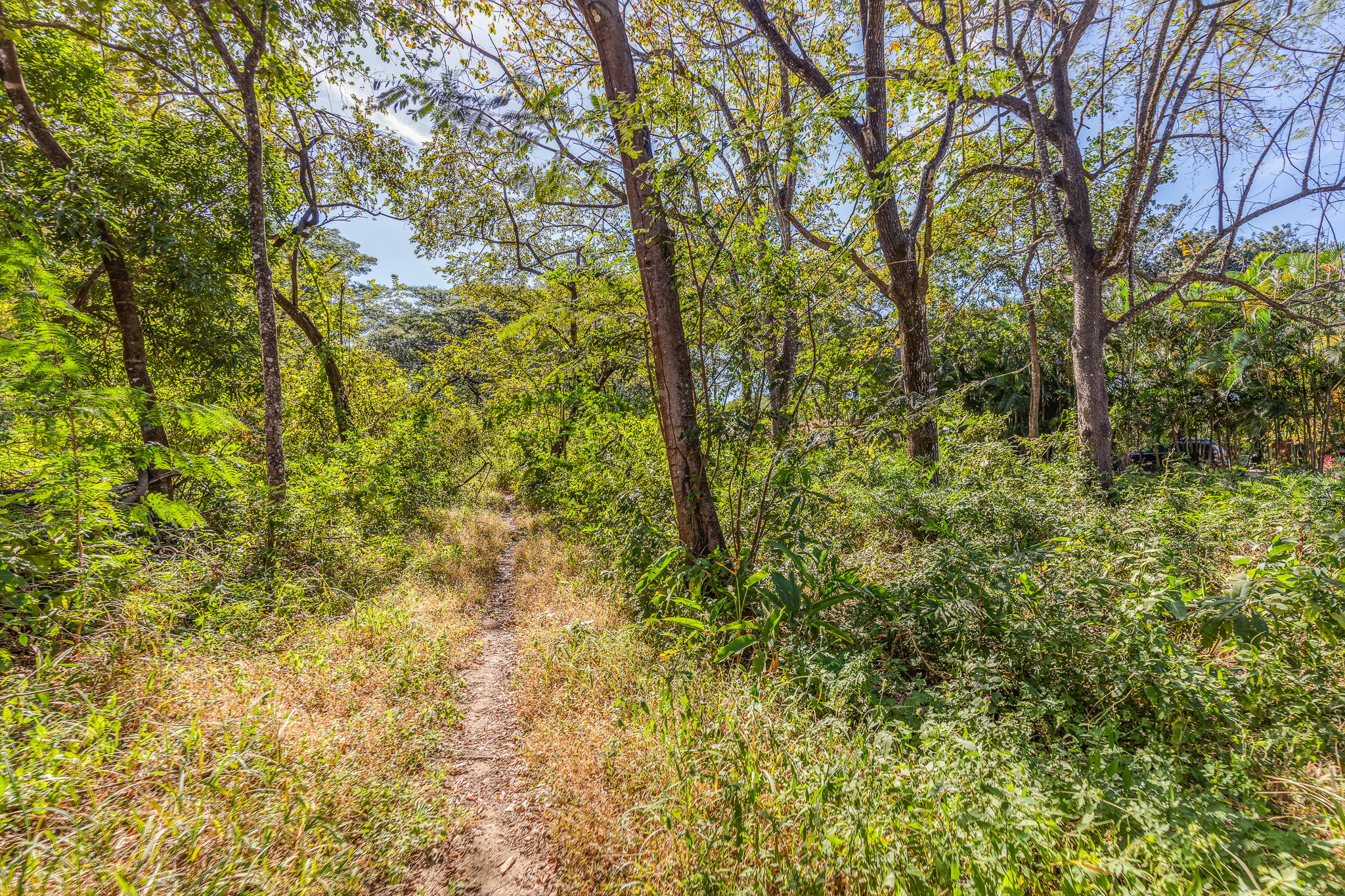 0 bed Land For Sale in Nosara, Guanacaste - thumb 3