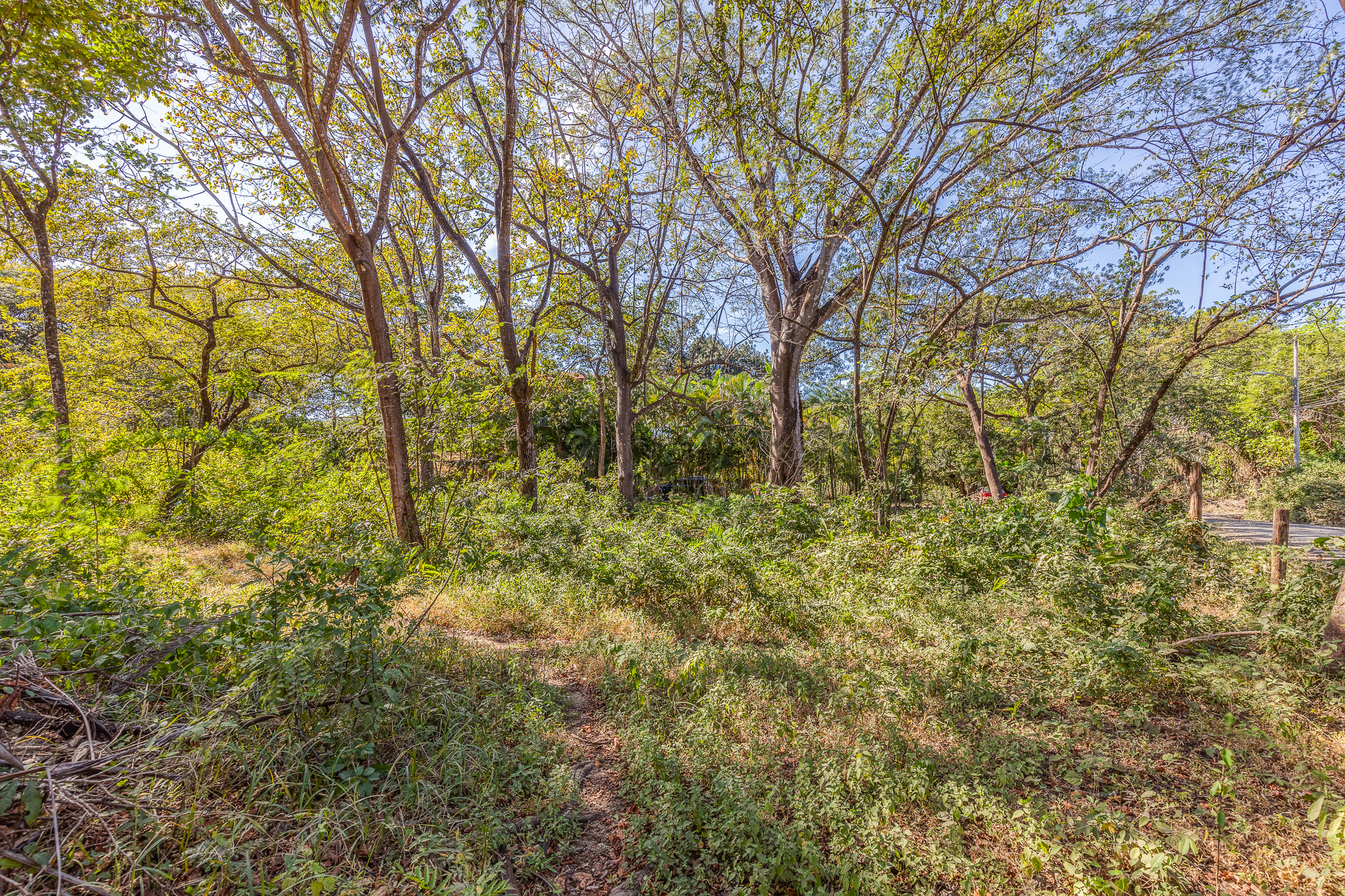 0 bed Land For Sale in Nosara, Guanacaste - thumb 7