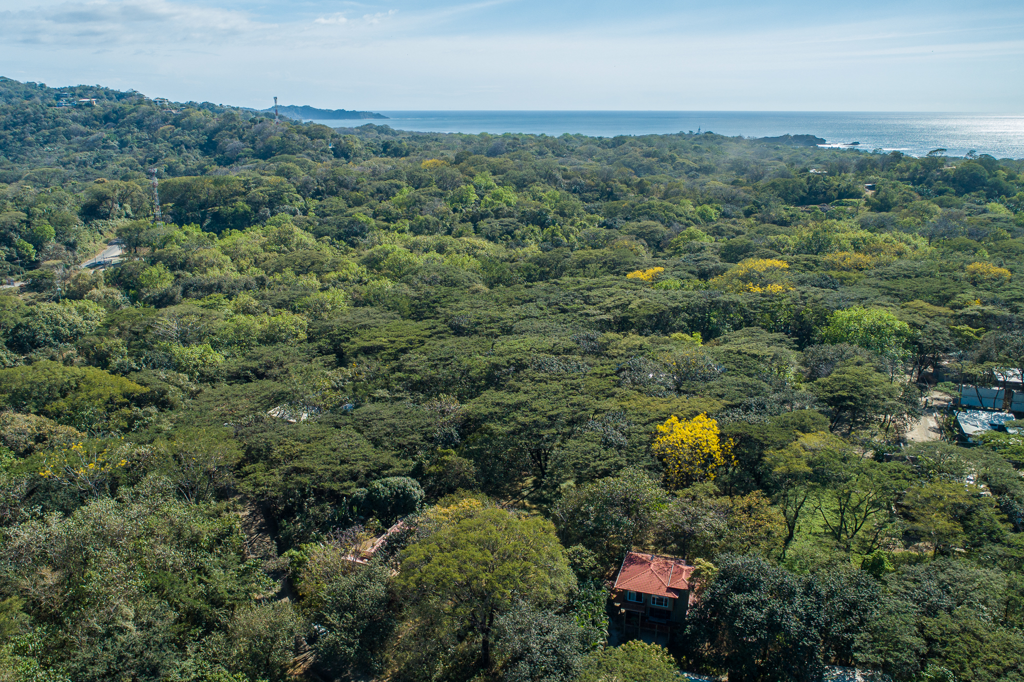 0 bed Land For Sale in Nosara, Guanacaste - thumb 2