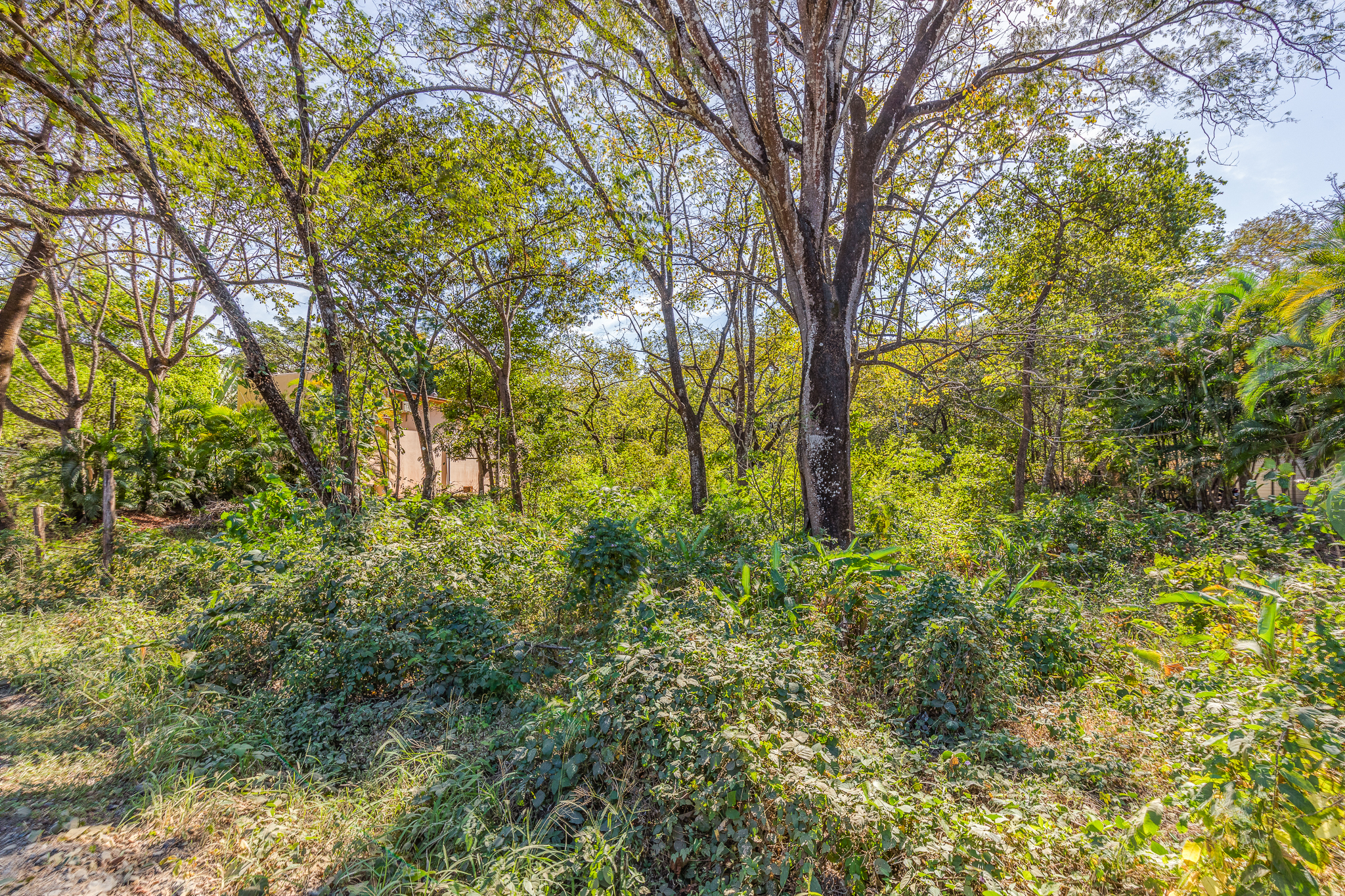 0 bed Land For Sale in Nosara, Guanacaste - thumb 4
