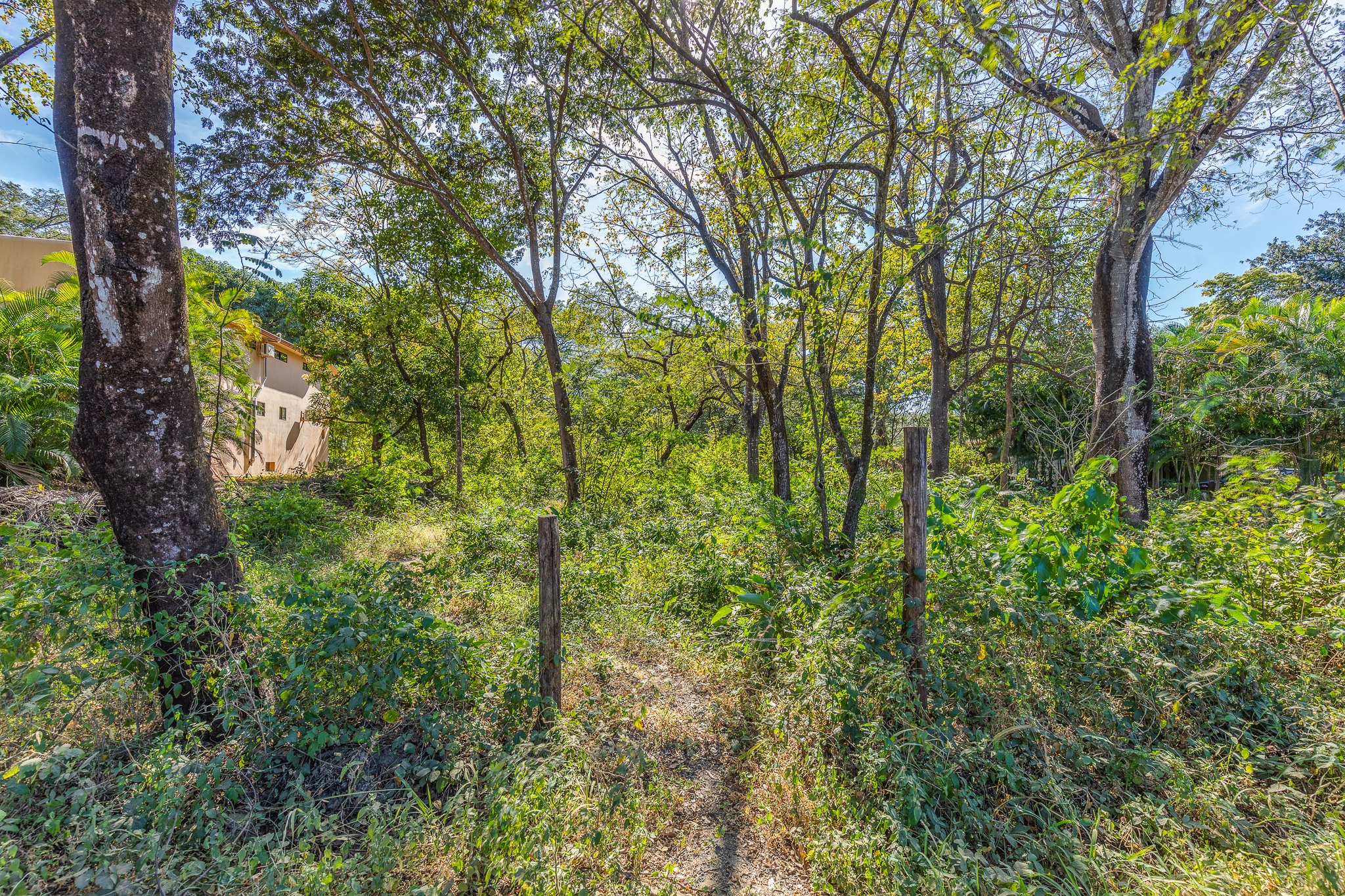 0 bed Land For Sale in Nosara, Guanacaste - thumb 5