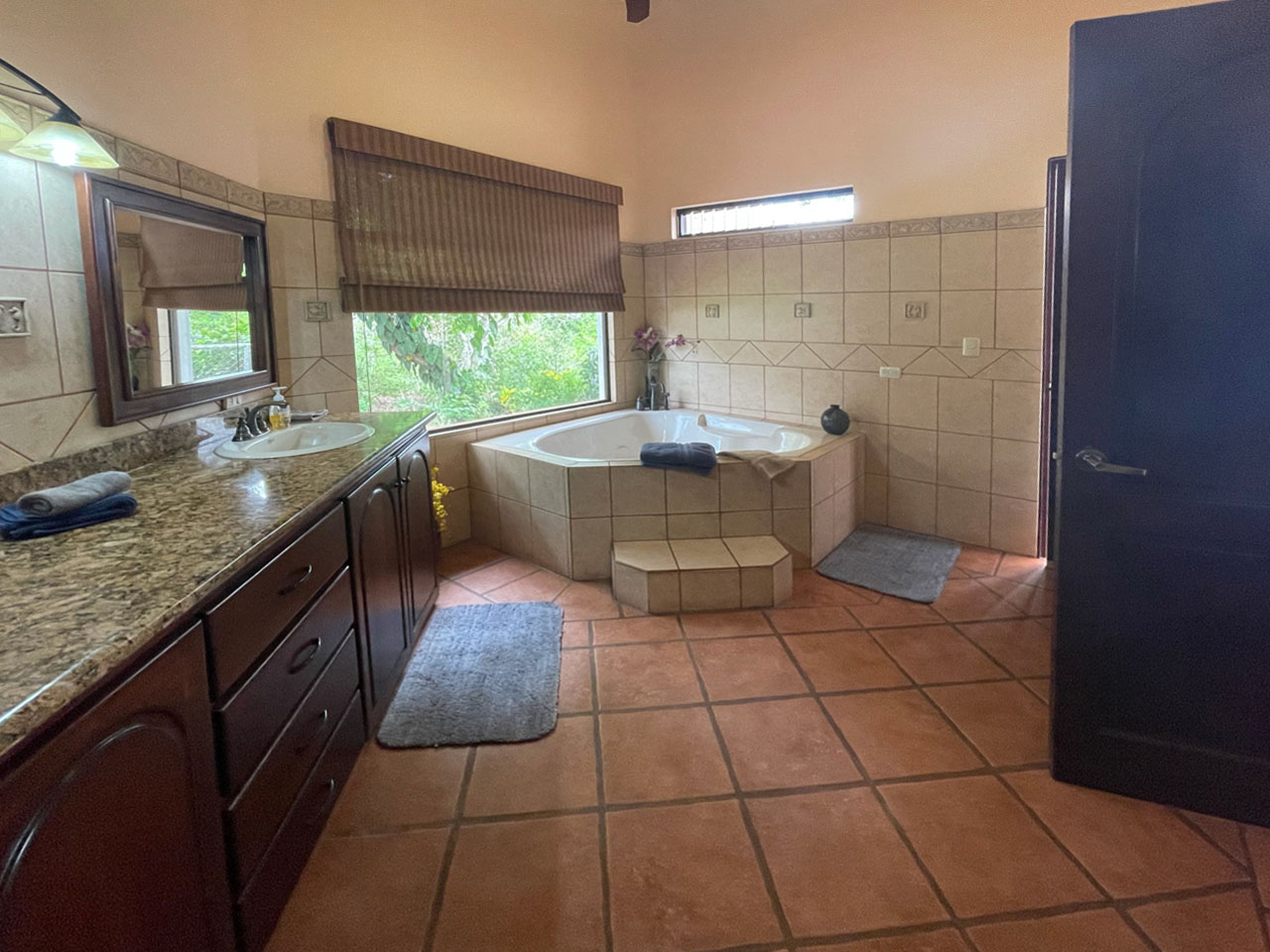 4 bed Single Family Homes For Sale in Atenas, Alajuela - thumb 28