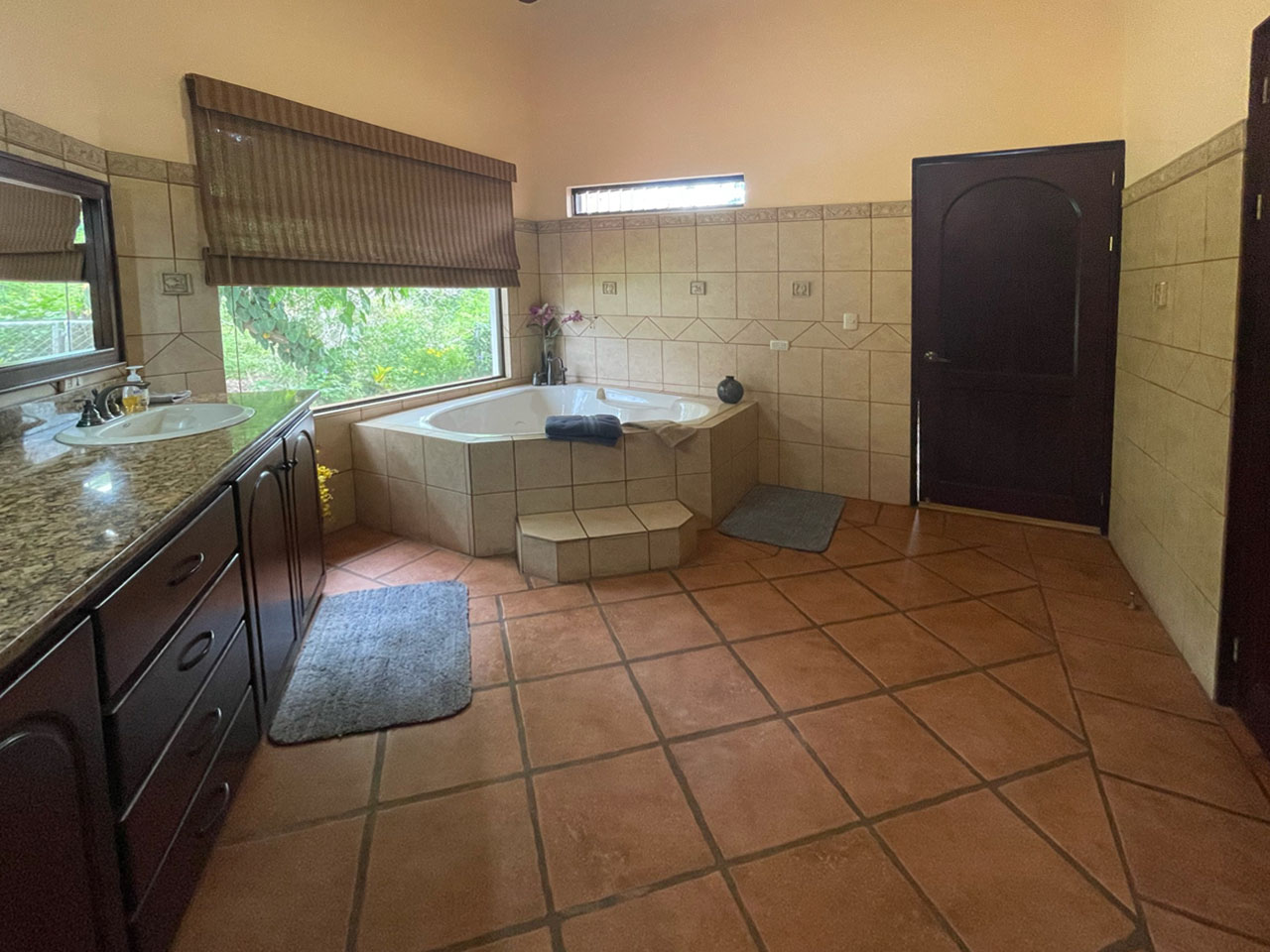 4 bed Single Family Homes For Sale in Atenas, Alajuela - thumb 25