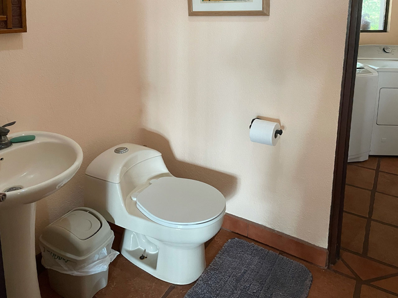 4 bed Single Family Homes For Sale in Atenas, Alajuela - thumb 15