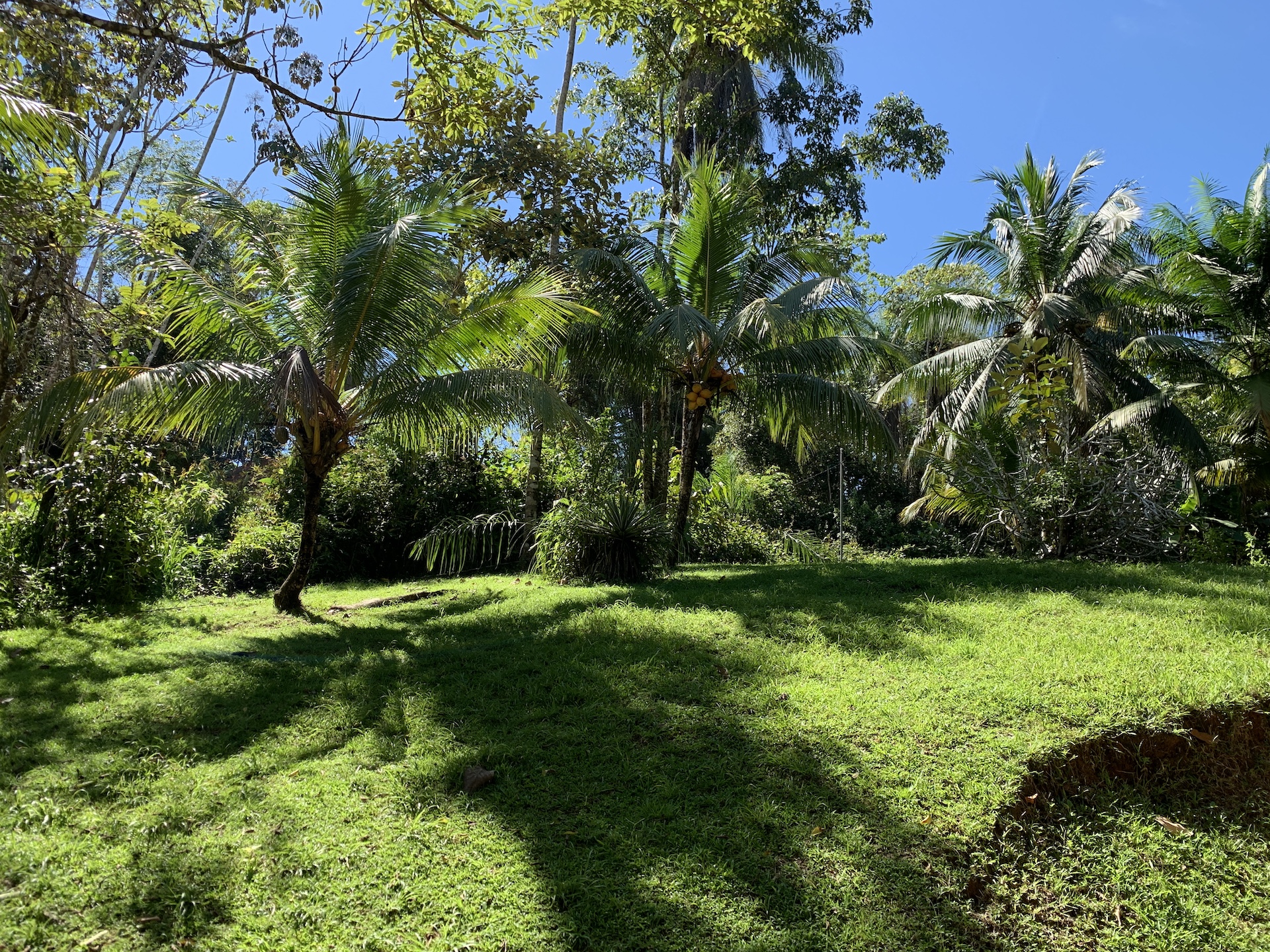 5 bed Single Family Homes For Sale in Ojochal, Puntarenas - thumb 24