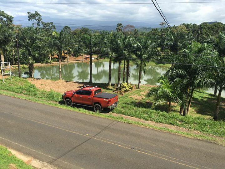 2 bed Single Family Homes For Sale in La Fortuna, Alajuela - thumb 2