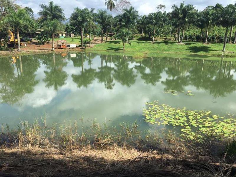 2 Bed Single Family Homes For Sale in La Fortuna Costa Rica