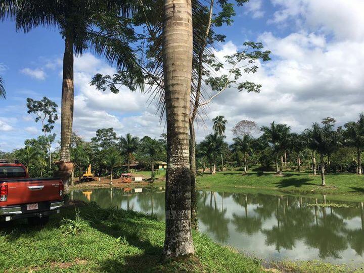 2 bed Single Family Homes For Sale in La Fortuna, Alajuela - thumb 3