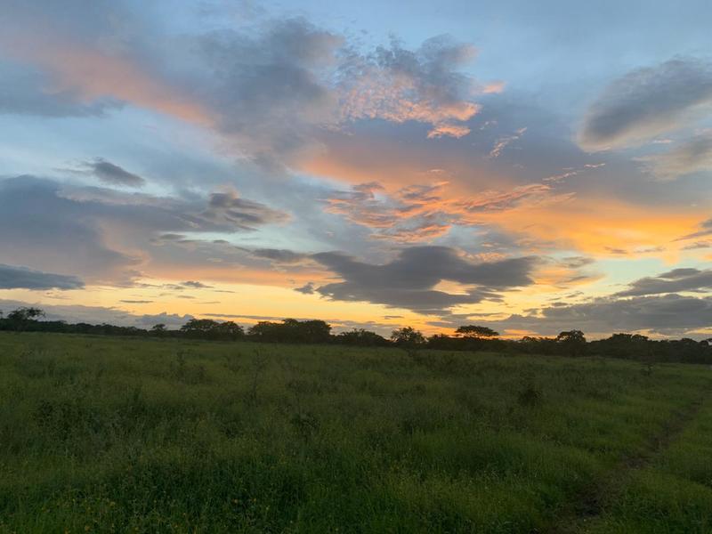 0 bed Land For Sale in Bagaces, Guanacaste - 1