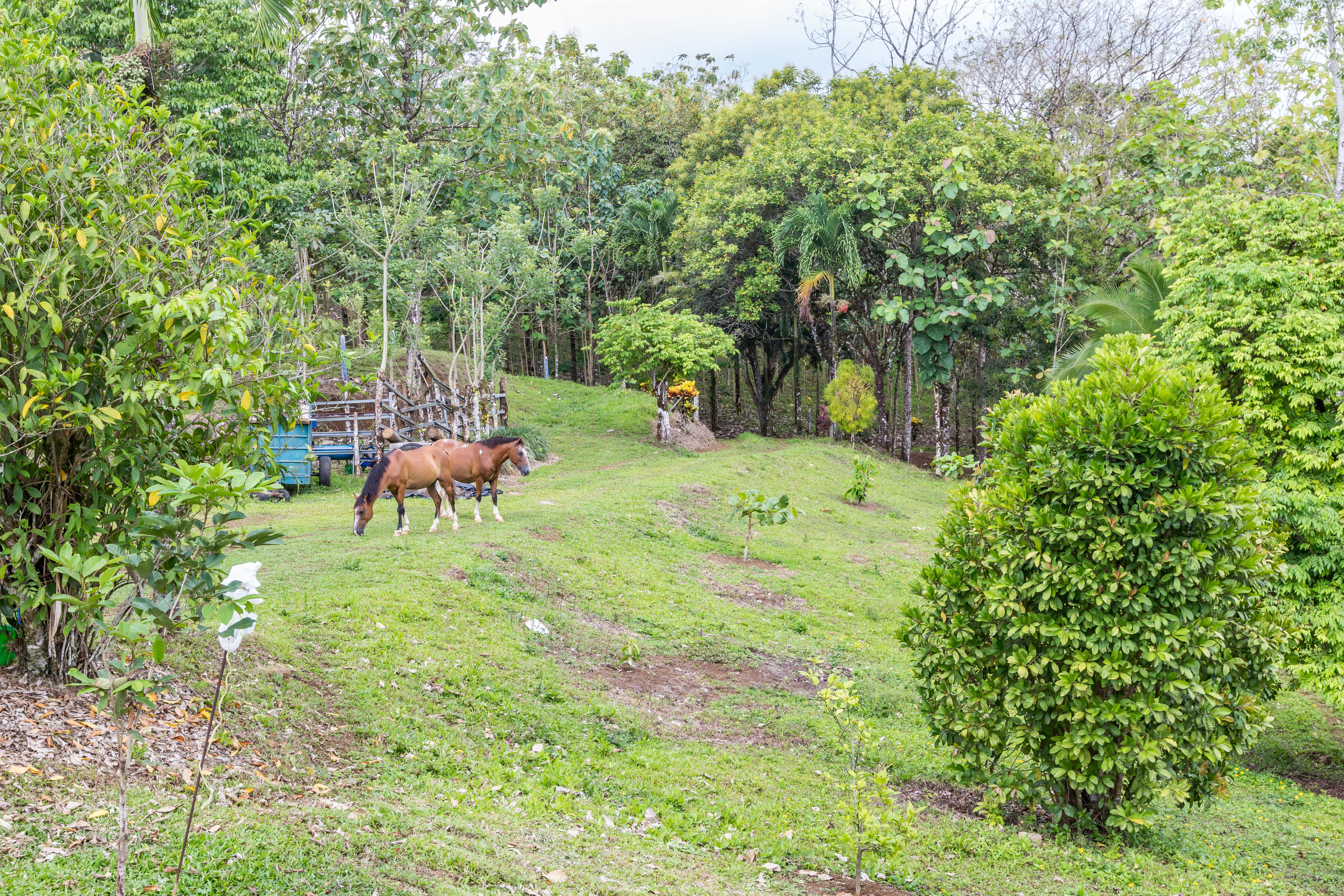 2 bed Single Family Homes For Sale in San Ramon, Alajuela - thumb 22