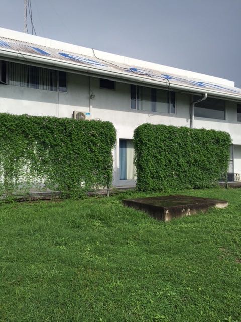 3 bed Commercial For Sale in Liberia, Guanacaste - thumb 6