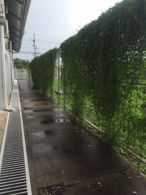 3 bed Commercial For Sale in Liberia, Guanacaste - thumb 10