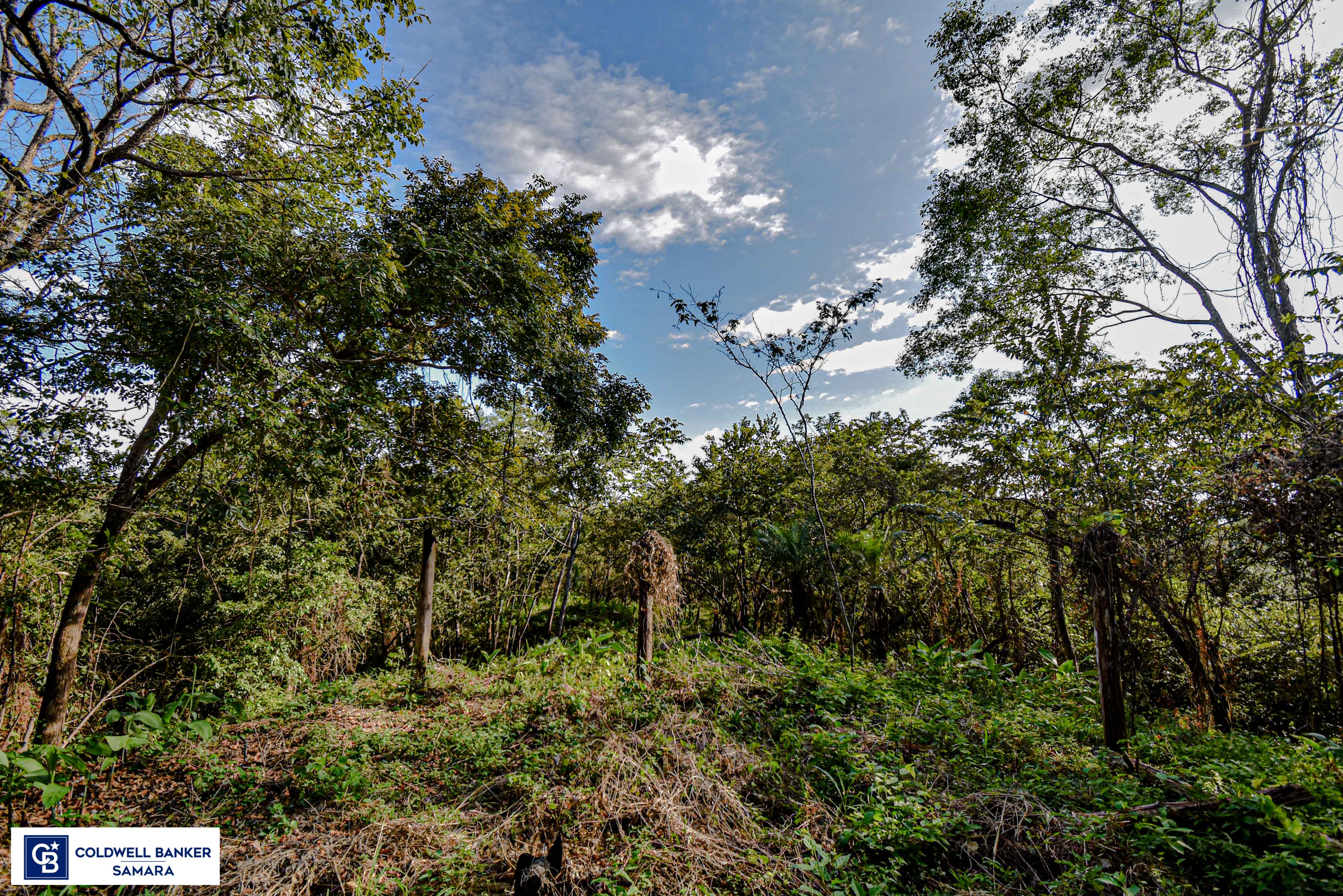 0 bed Land For Sale in Samara, Guanacaste - thumb 5