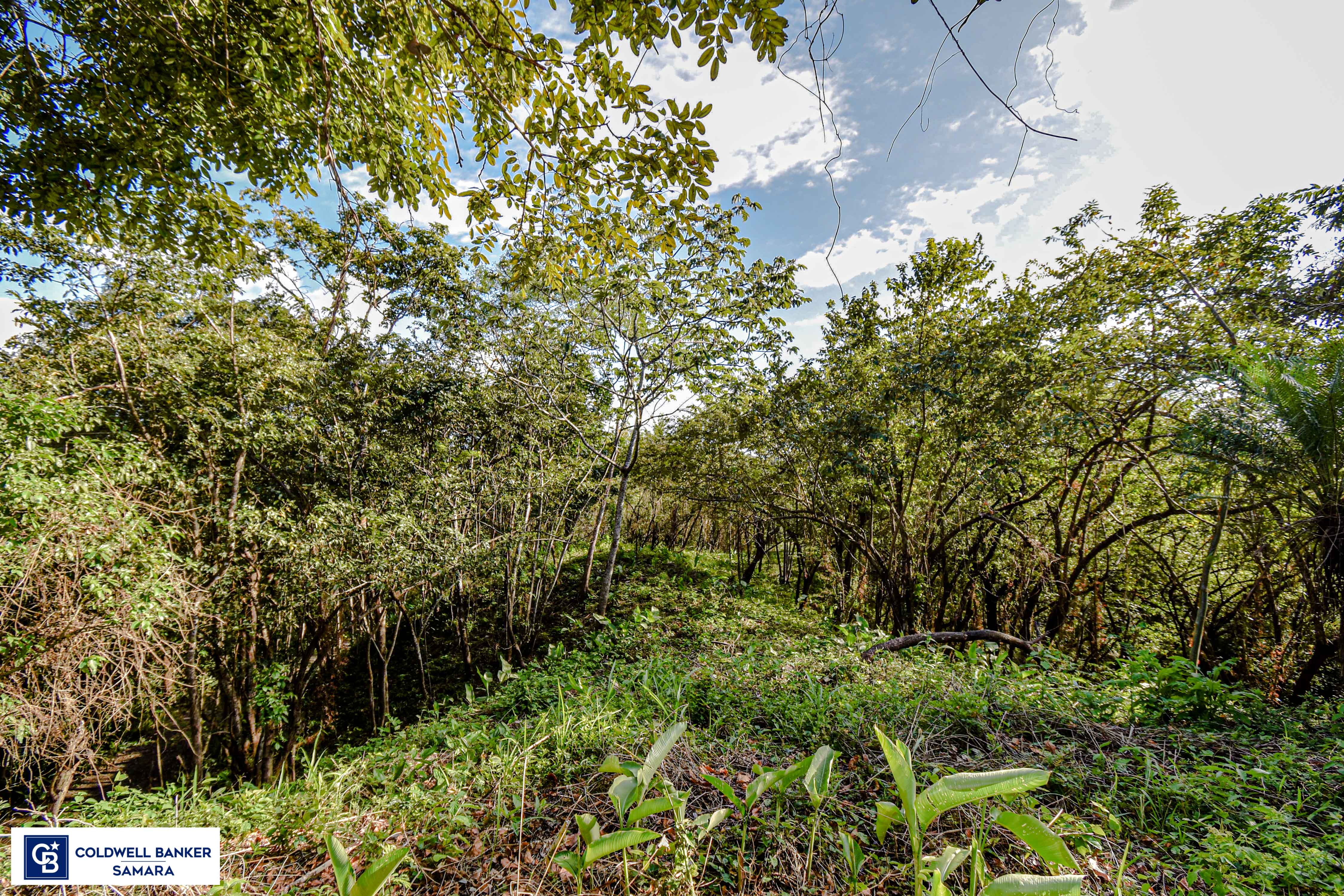 0 bed Land For Sale in Samara, Guanacaste - thumb 8