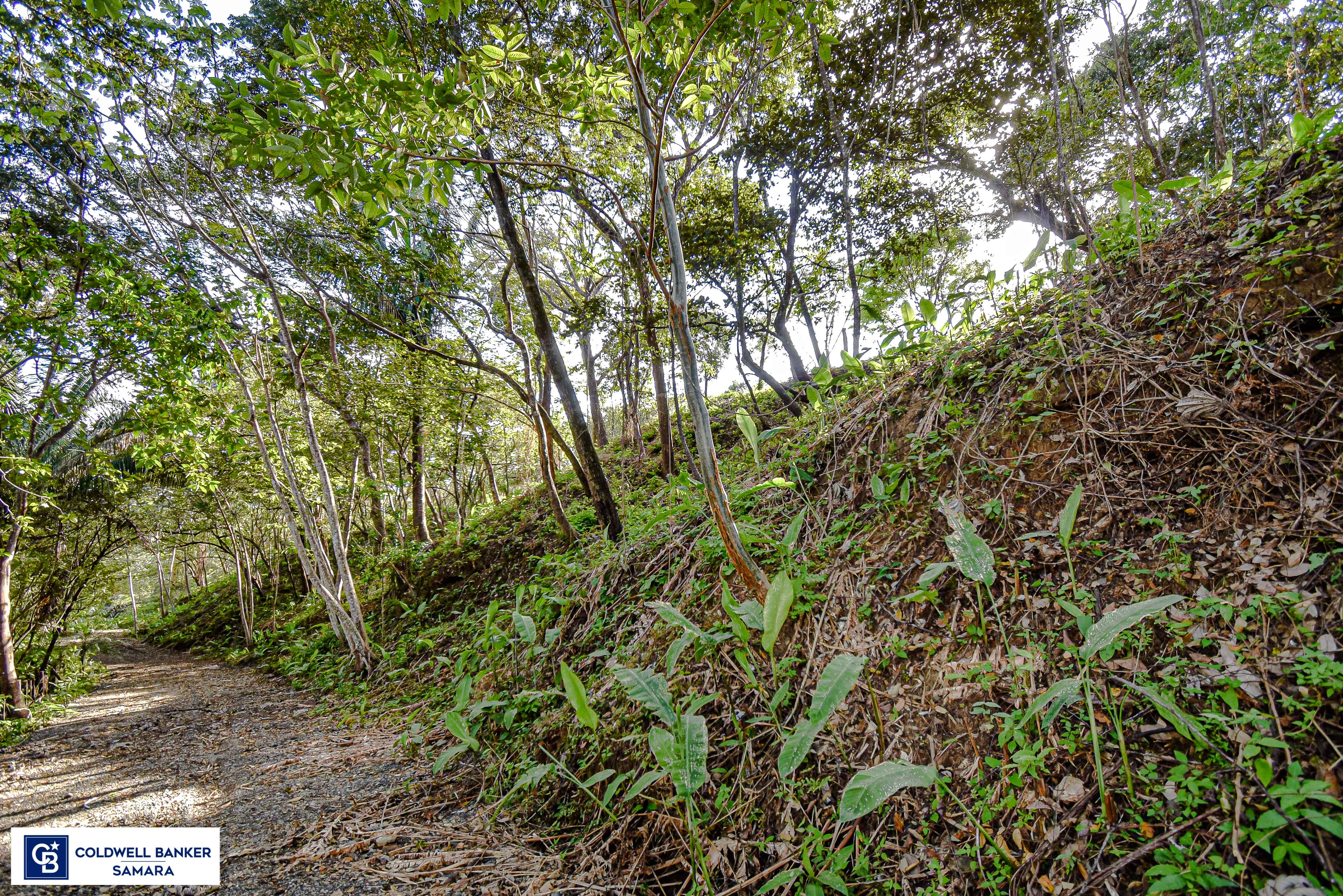 0 bed Land For Sale in Samara, Guanacaste - thumb 21