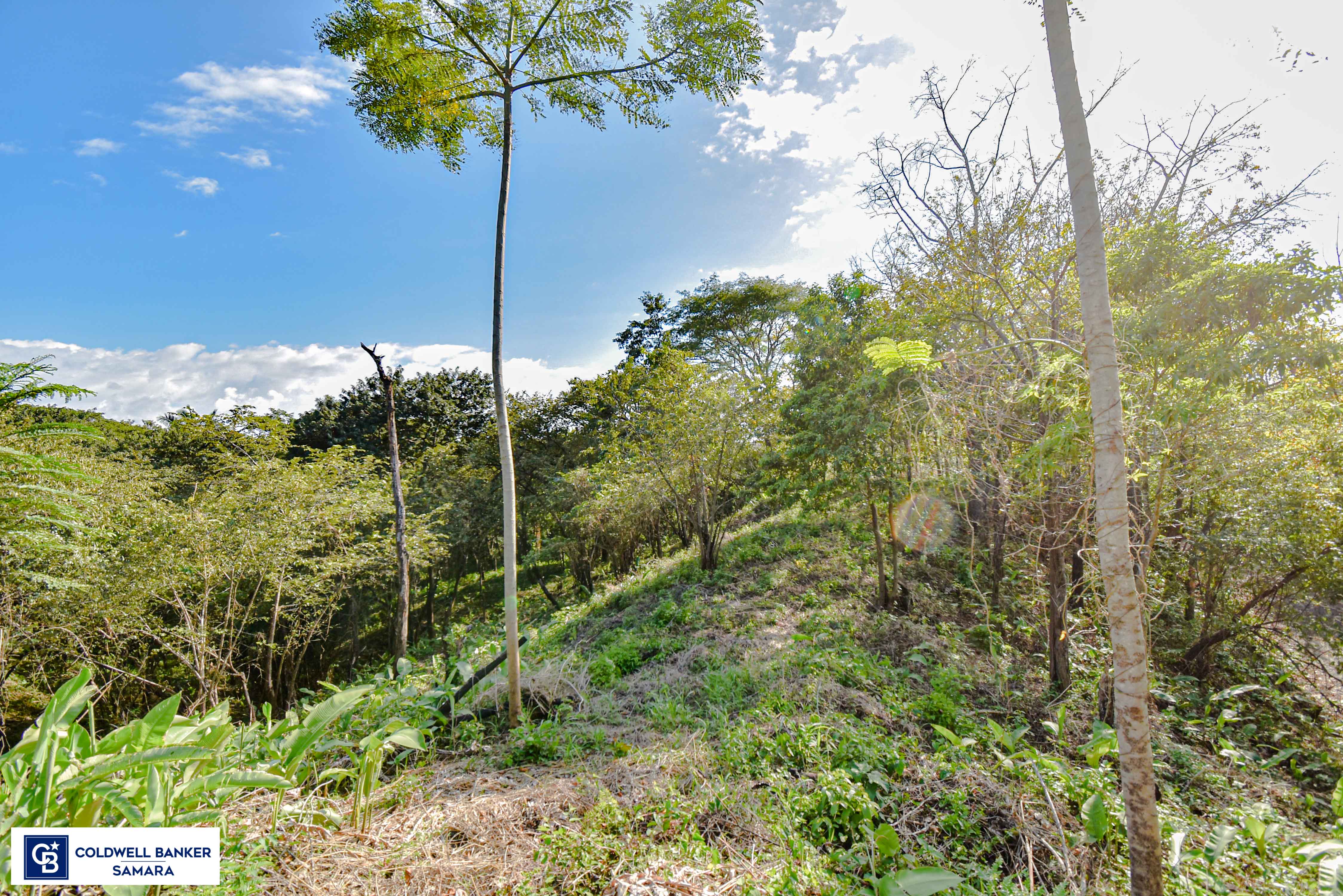 0 bed Land For Sale in Samara, Guanacaste - thumb 12
