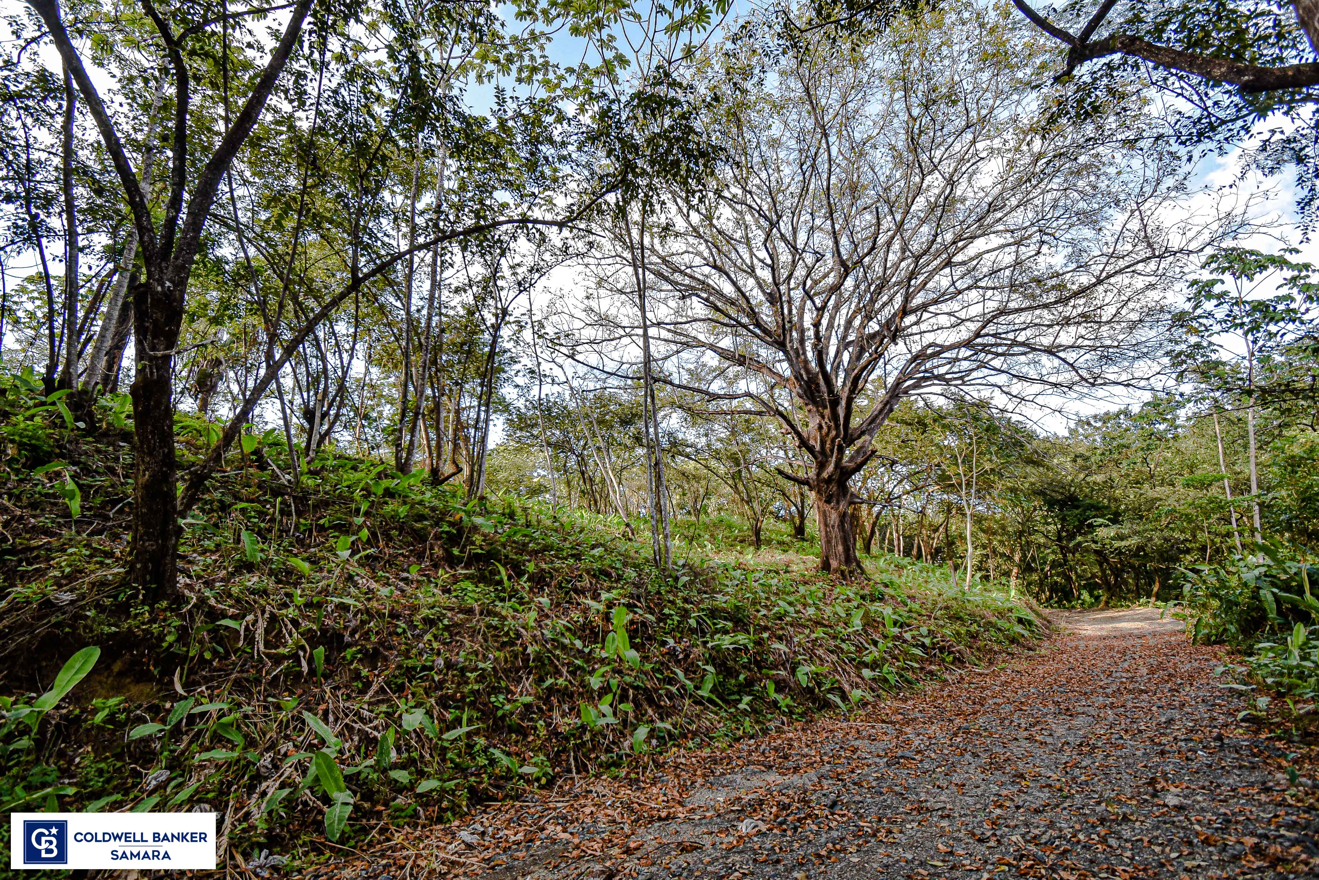 0 bed Land For Sale in Samara, Guanacaste - thumb 6