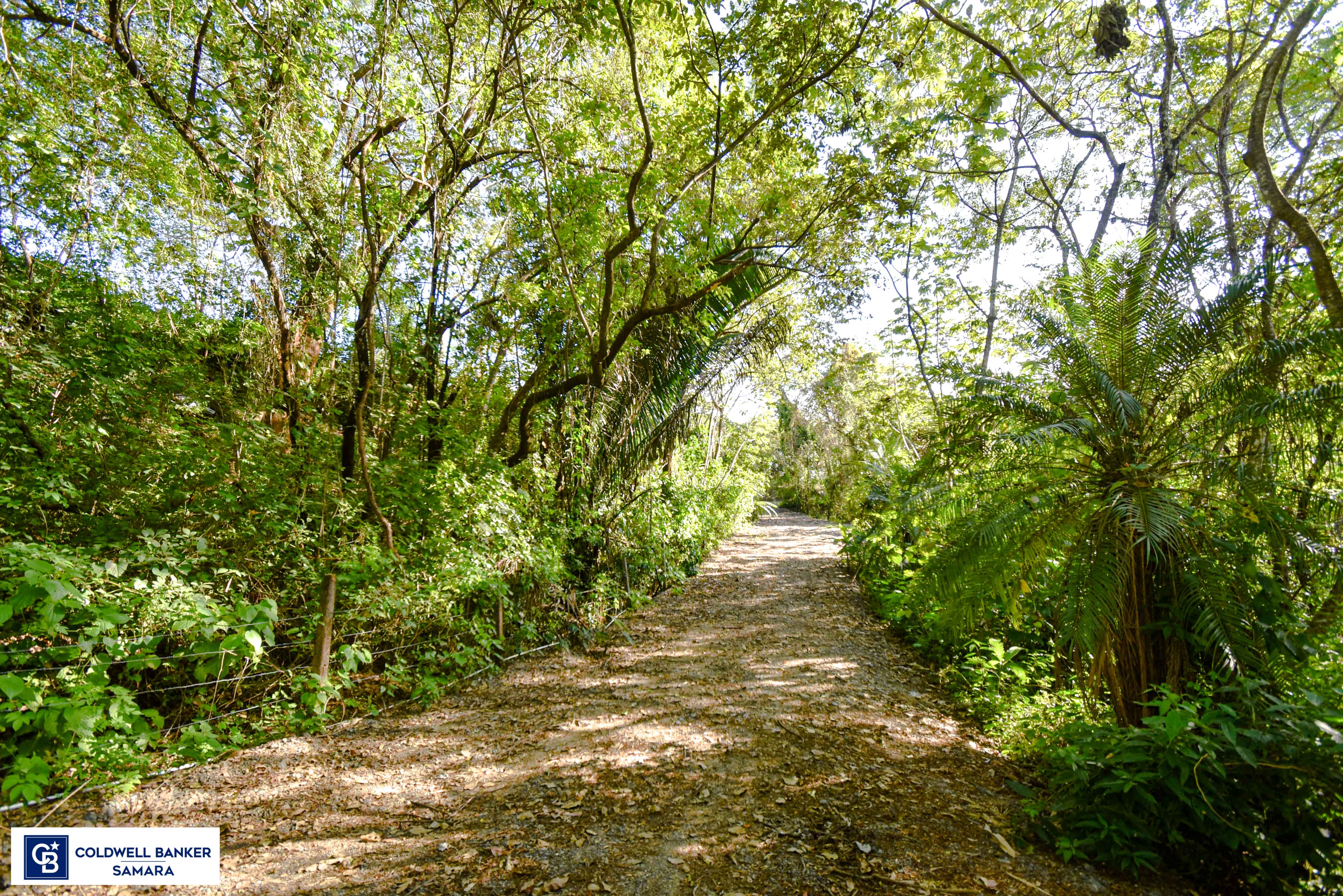 0 bed Land For Sale in Samara, Guanacaste - thumb 11