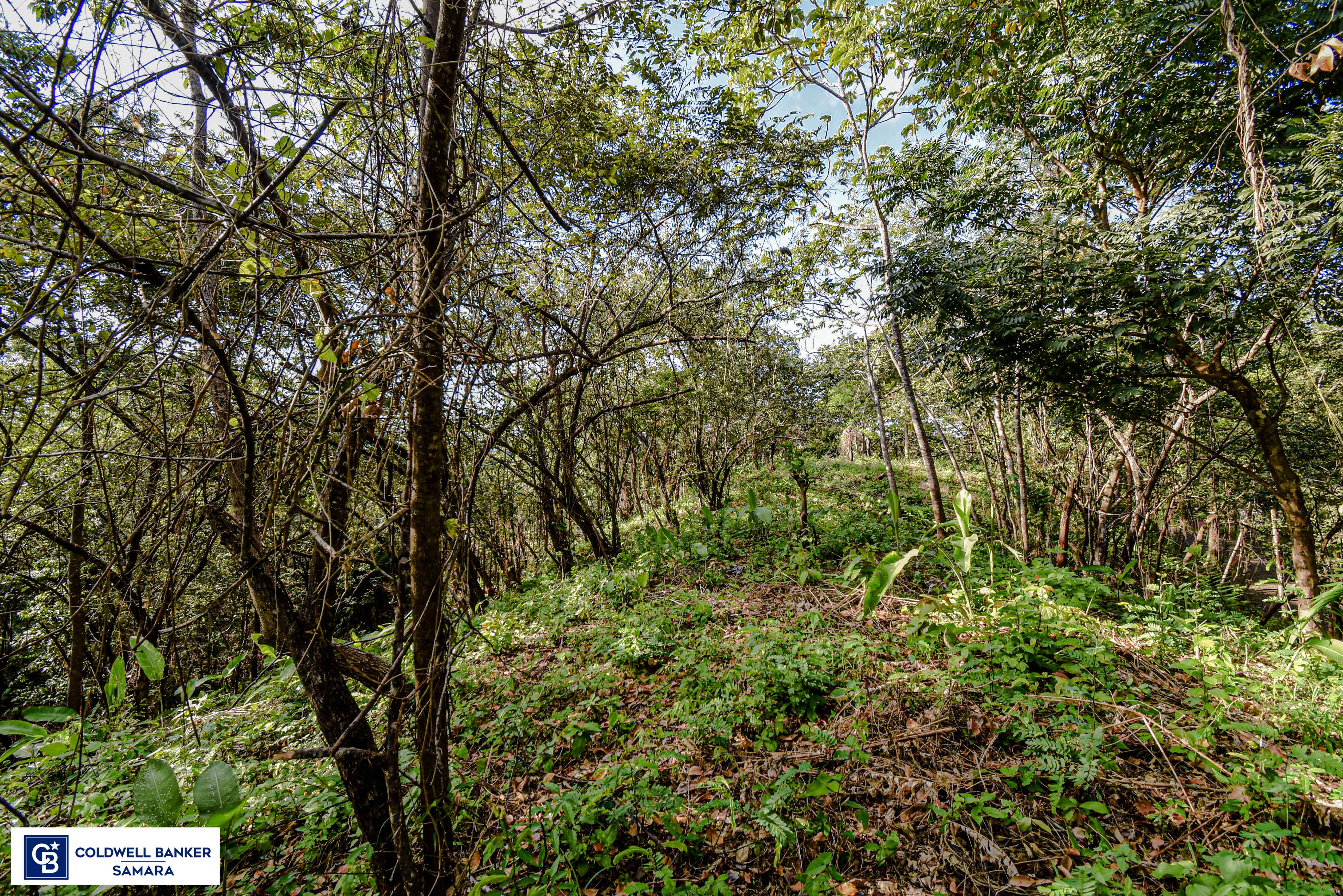 0 bed Land For Sale in Samara, Guanacaste - thumb 18