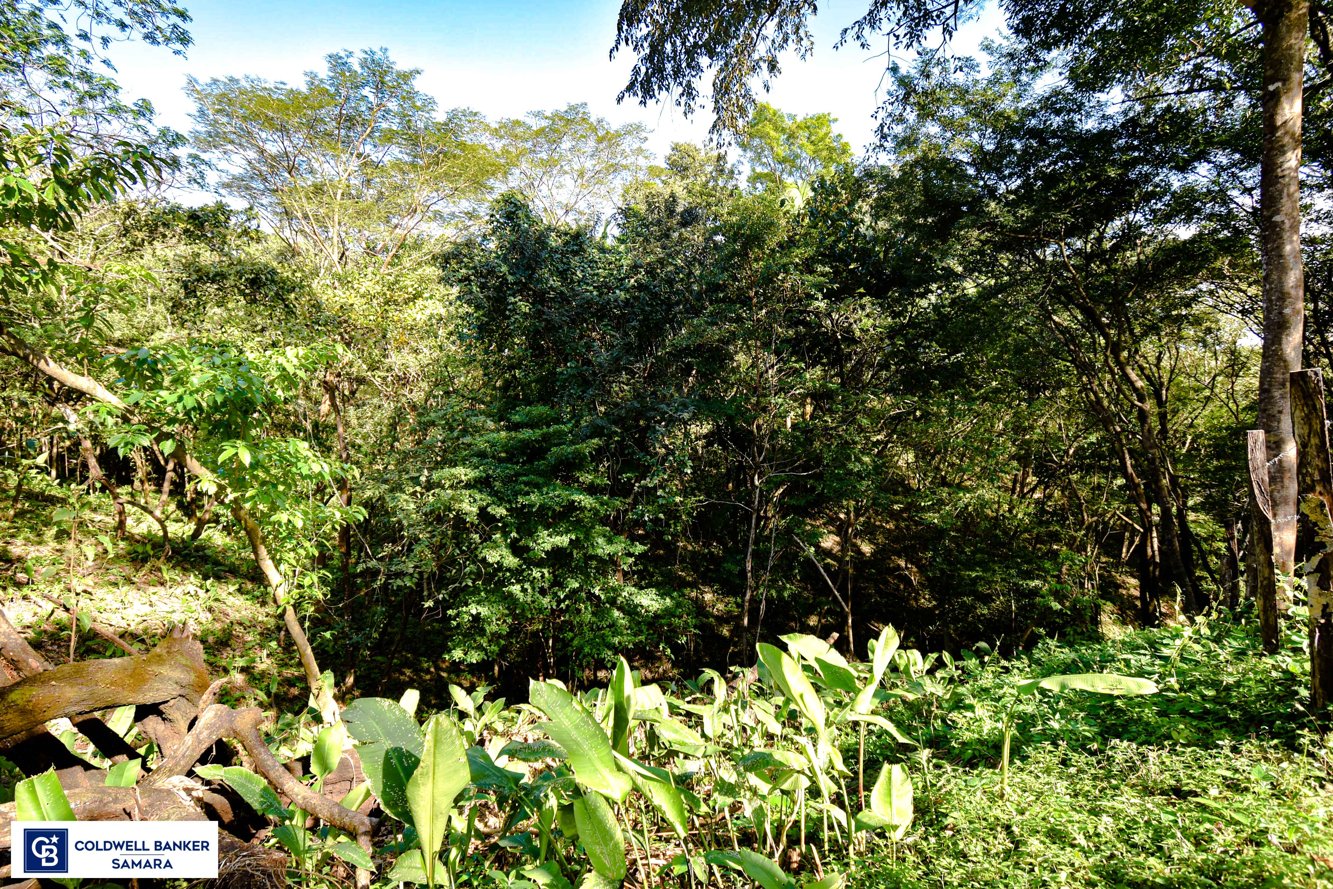 0 bed Land For Sale in Samara, Guanacaste - thumb 7