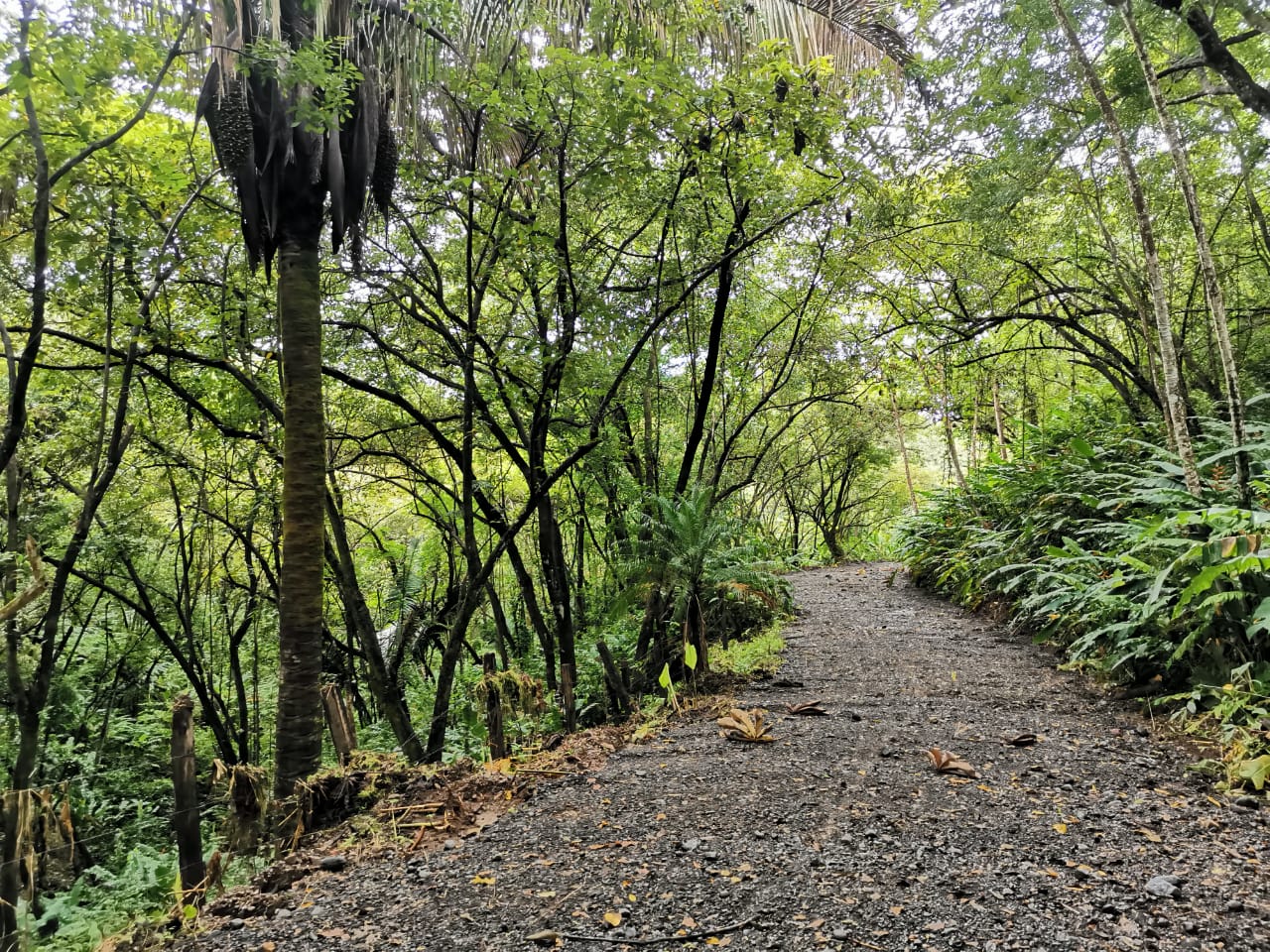 0 bed Land For Sale in Samara, Guanacaste - thumb 4