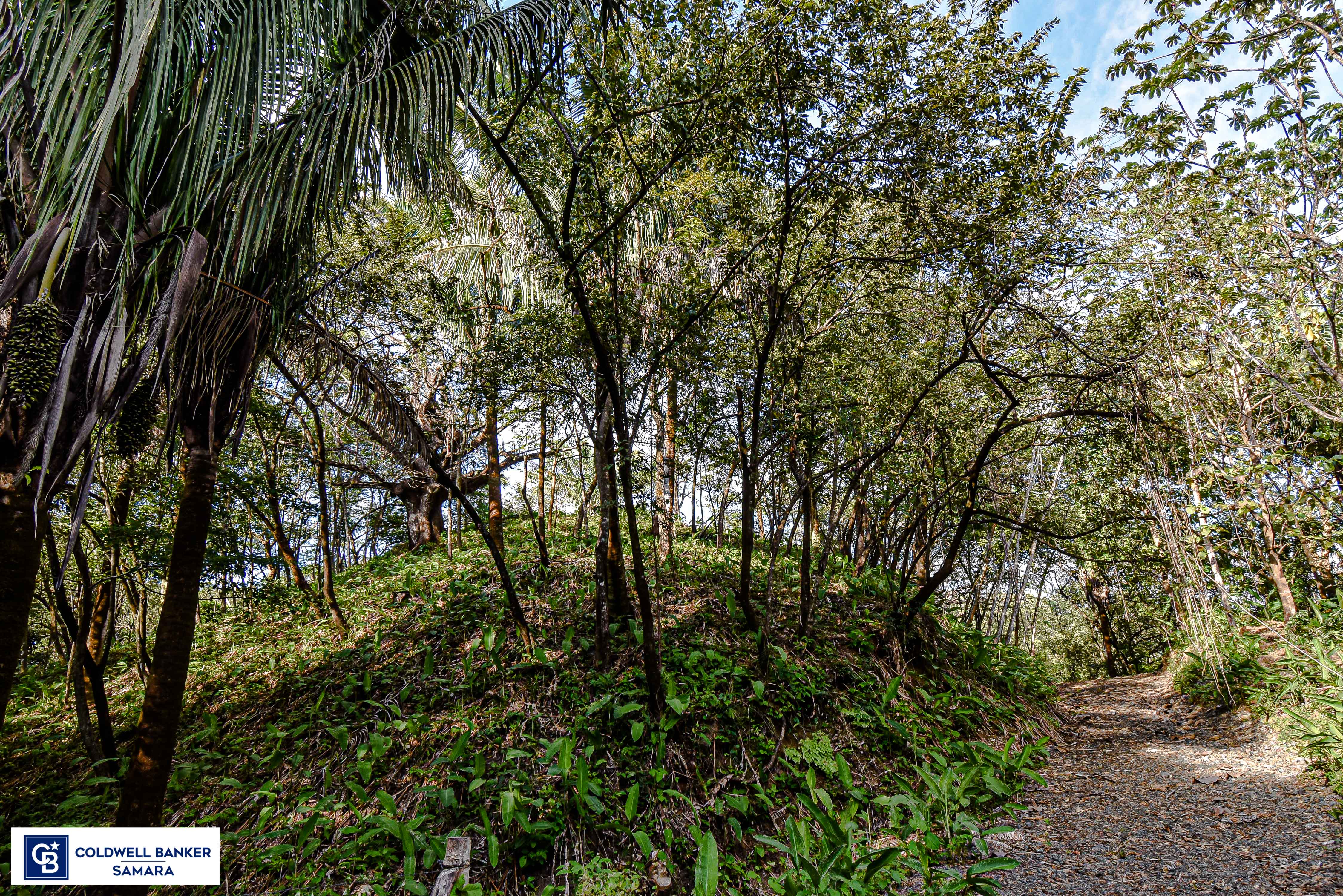 0 bed Land For Sale in Samara, Guanacaste - thumb 14