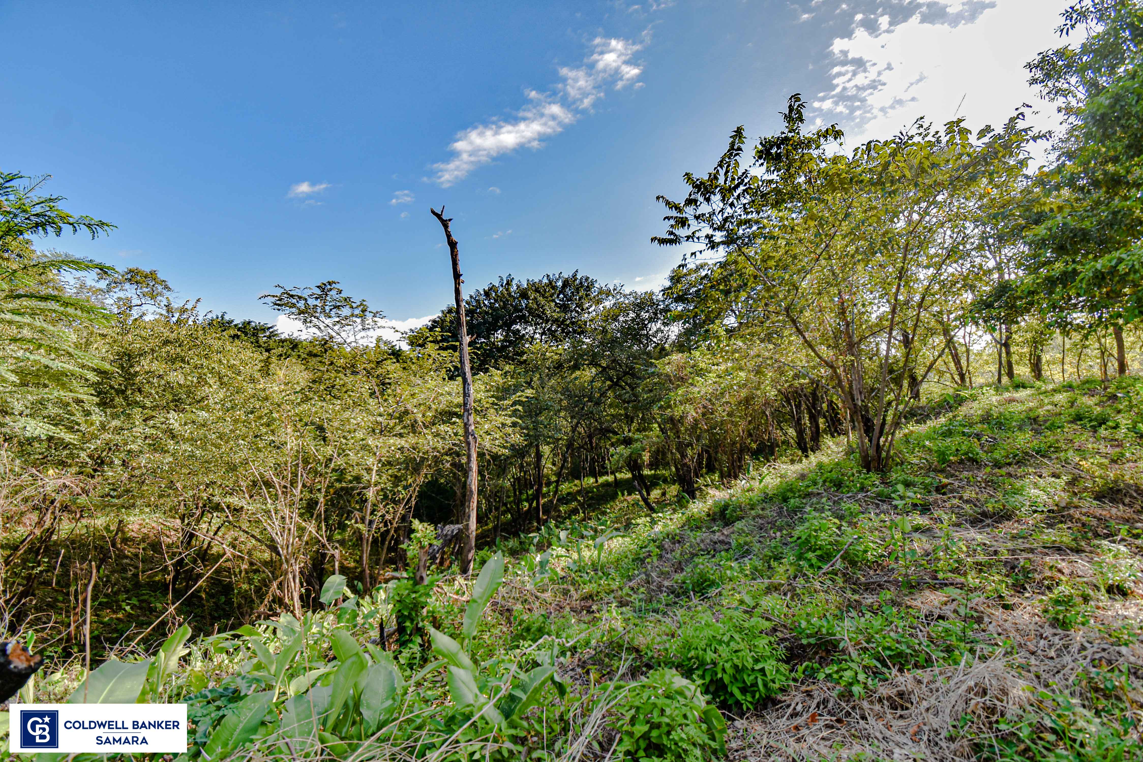 0 bed Land For Sale in Samara, Guanacaste - thumb 13