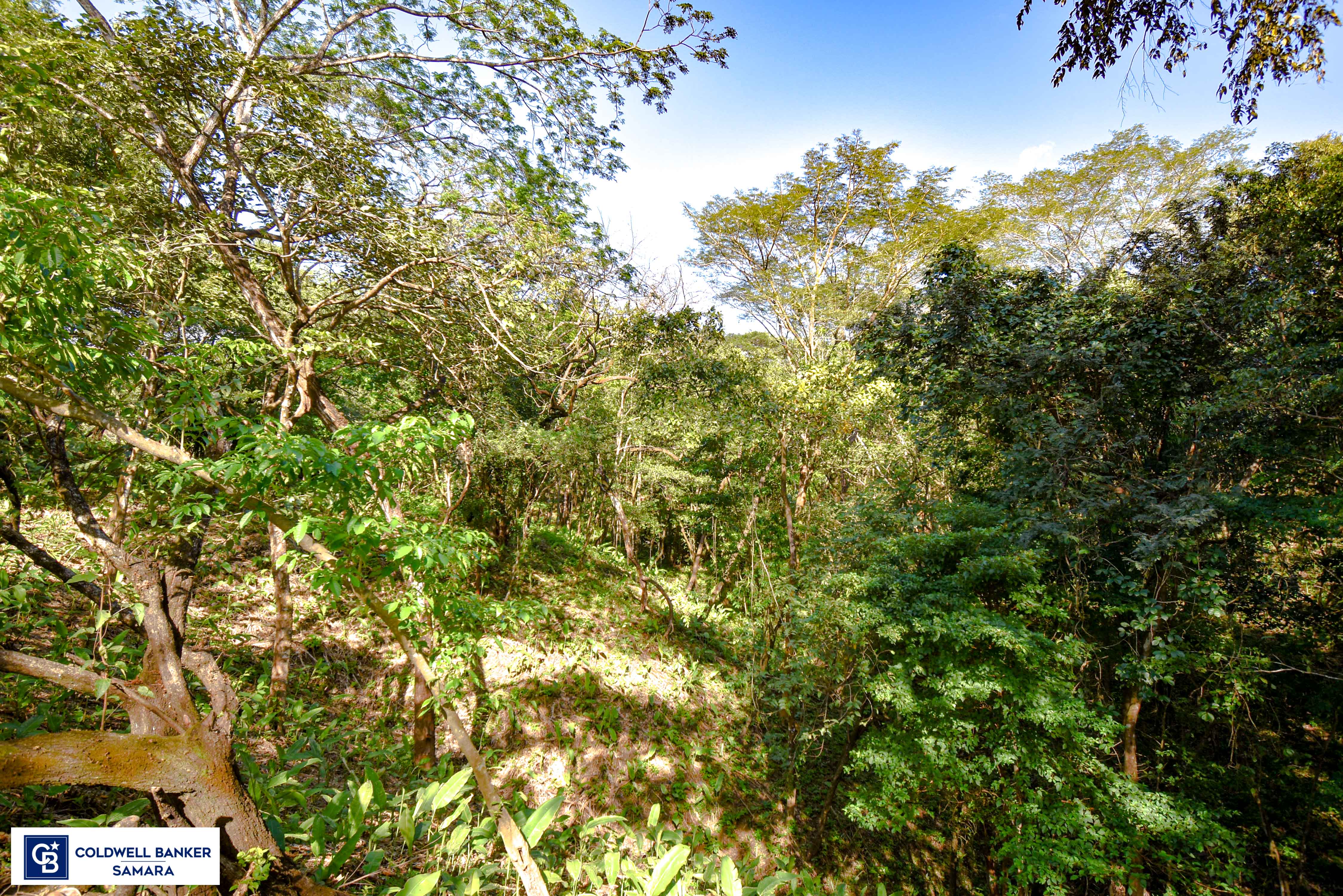0 bed Land For Sale in Samara, Guanacaste - thumb 19
