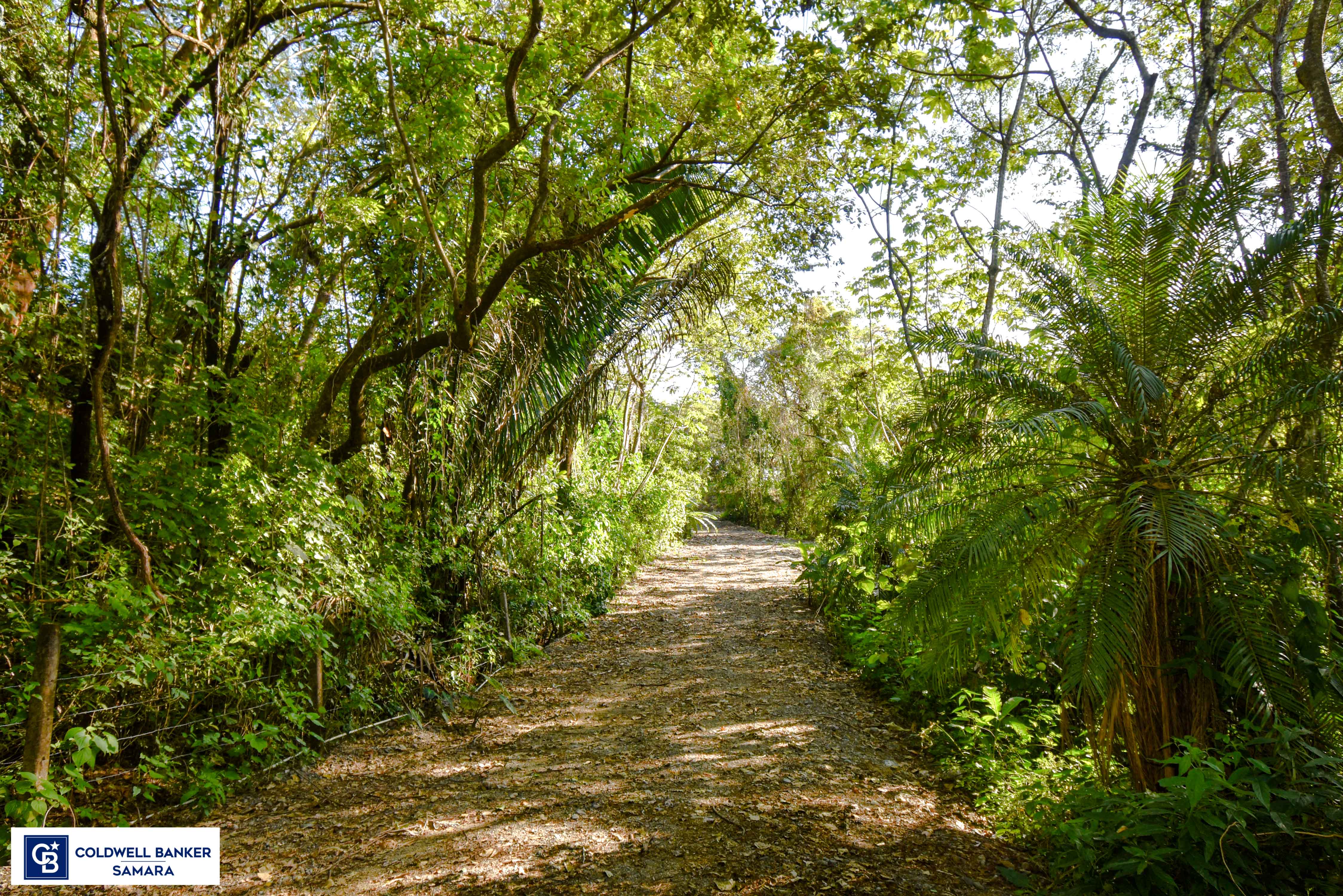 0 bed Land For Sale in Samara, Guanacaste - thumb 20