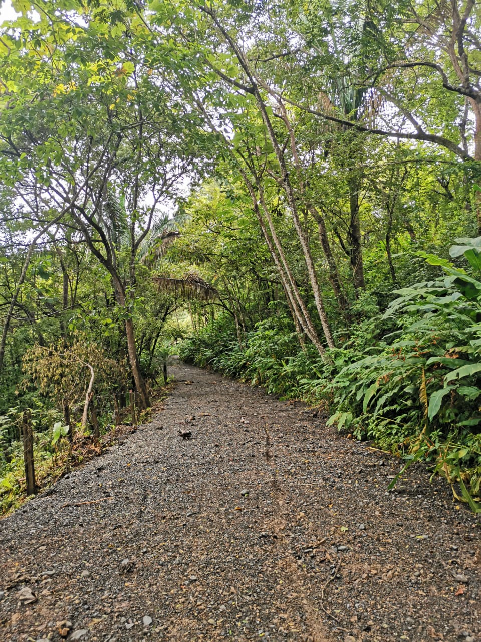 0 bed Land For Sale in Samara, Guanacaste - thumb 3