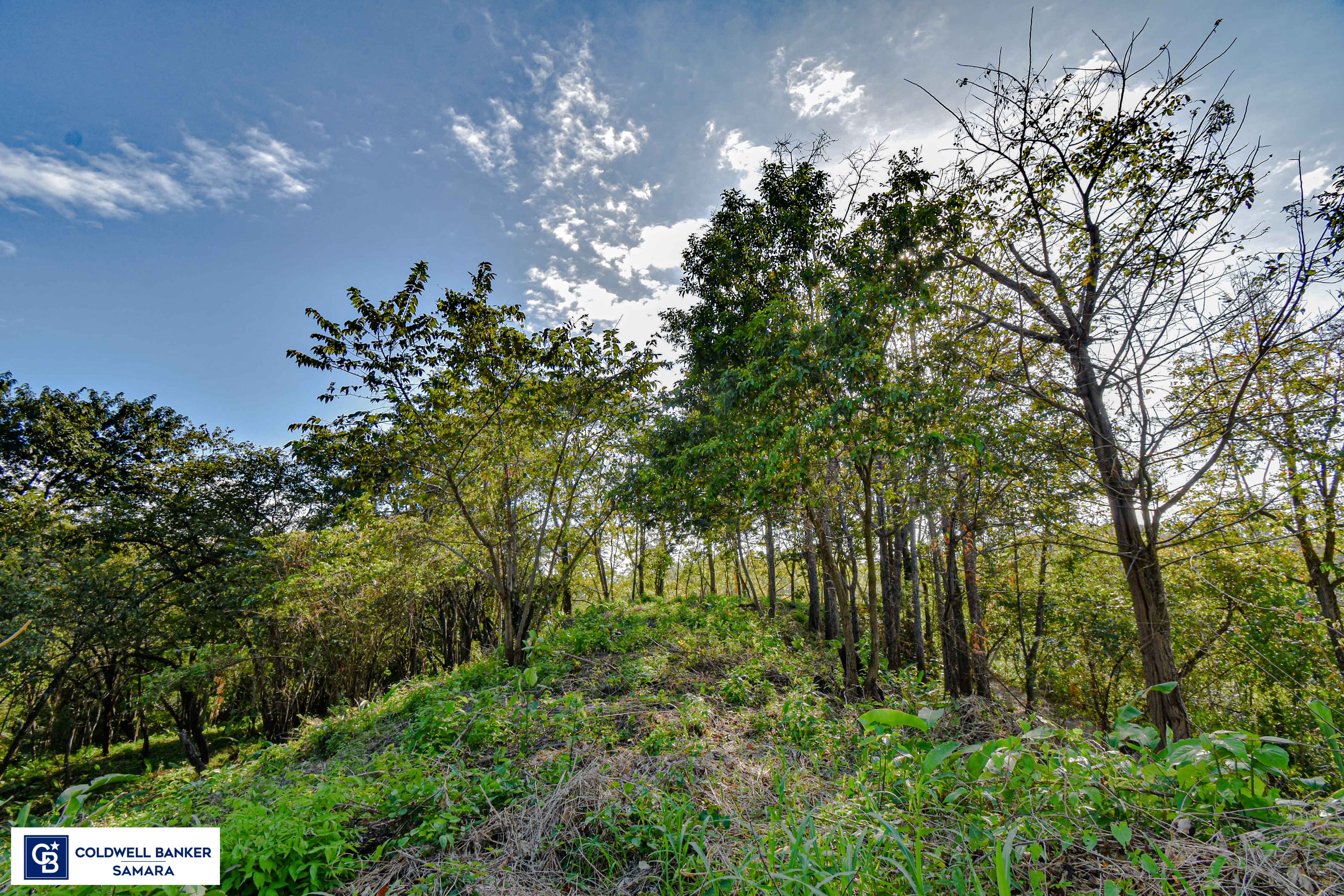0 bed Land For Sale in Samara, Guanacaste - thumb 24