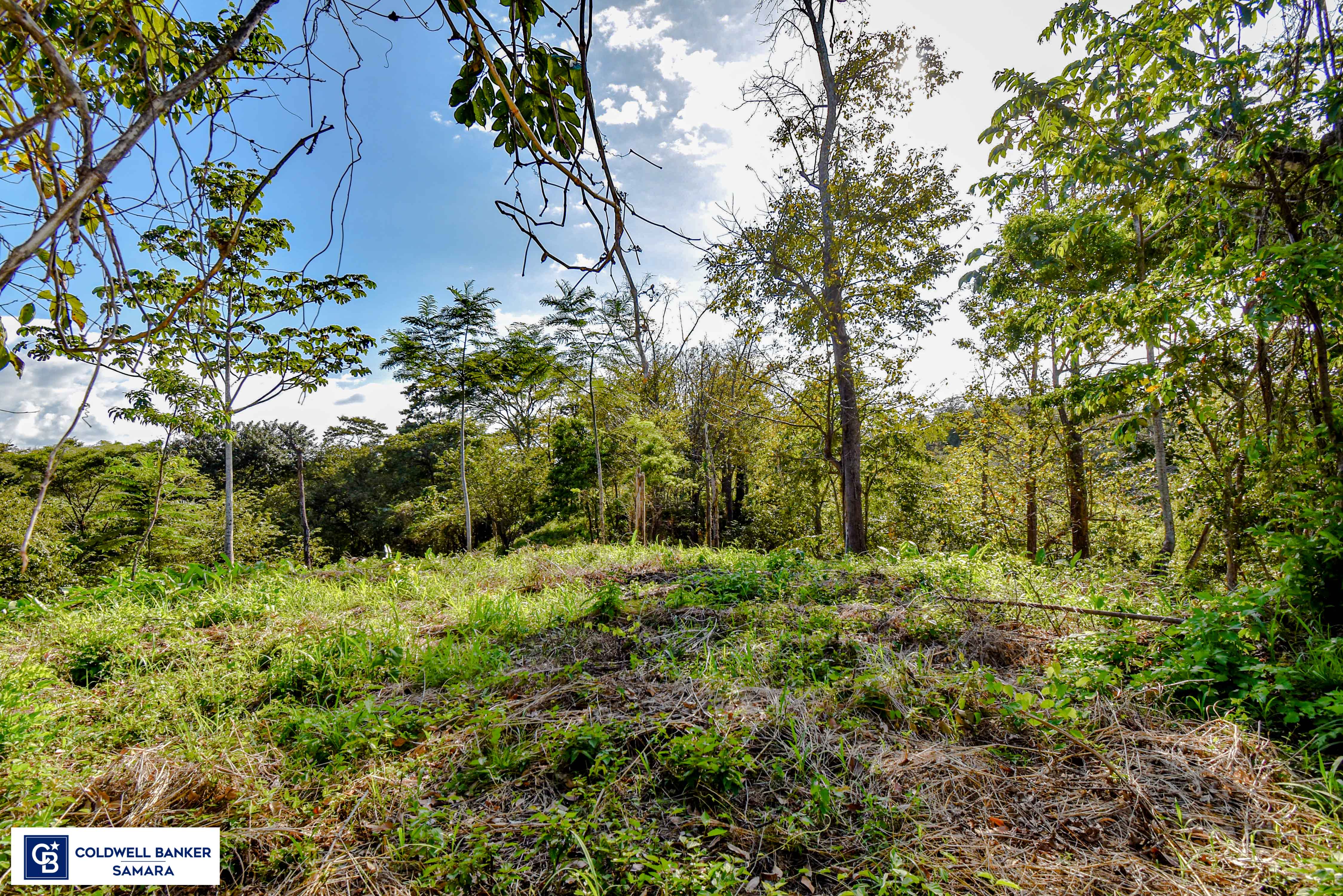 0 bed Land For Sale in Samara, Guanacaste - thumb 15