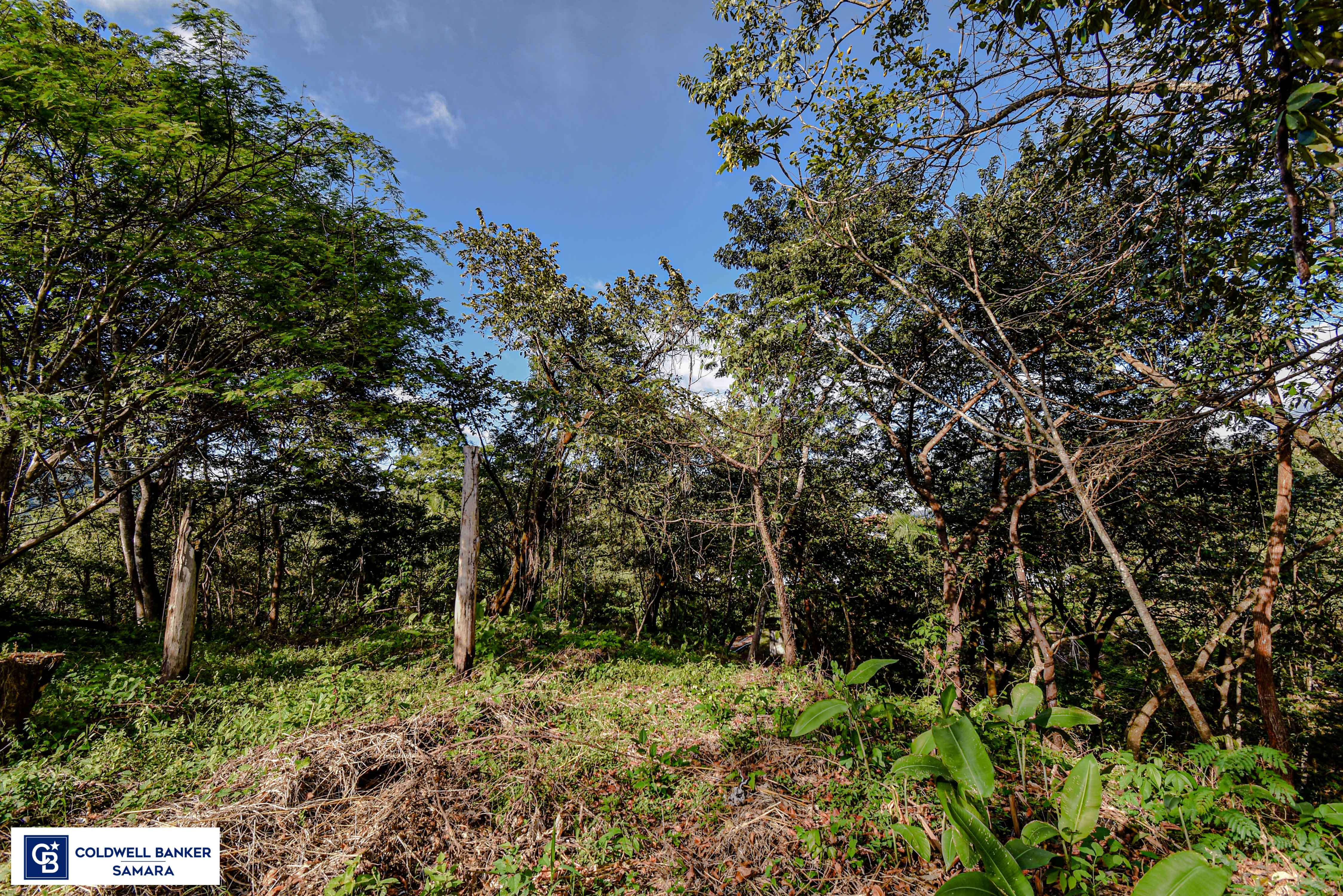 0 bed Land For Sale in Samara, Guanacaste - thumb 9