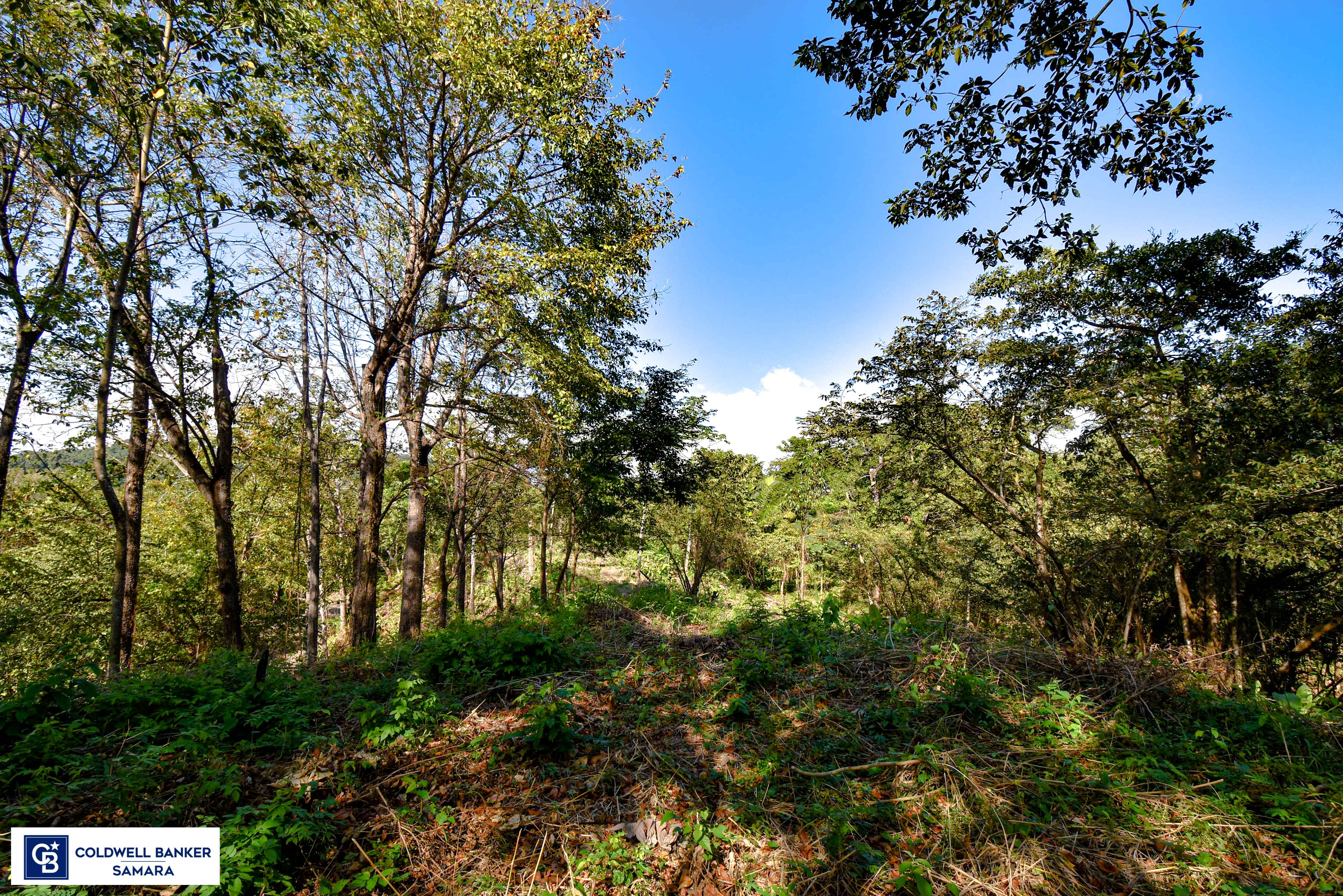 0 bed Land For Sale in Samara, Guanacaste - thumb 17