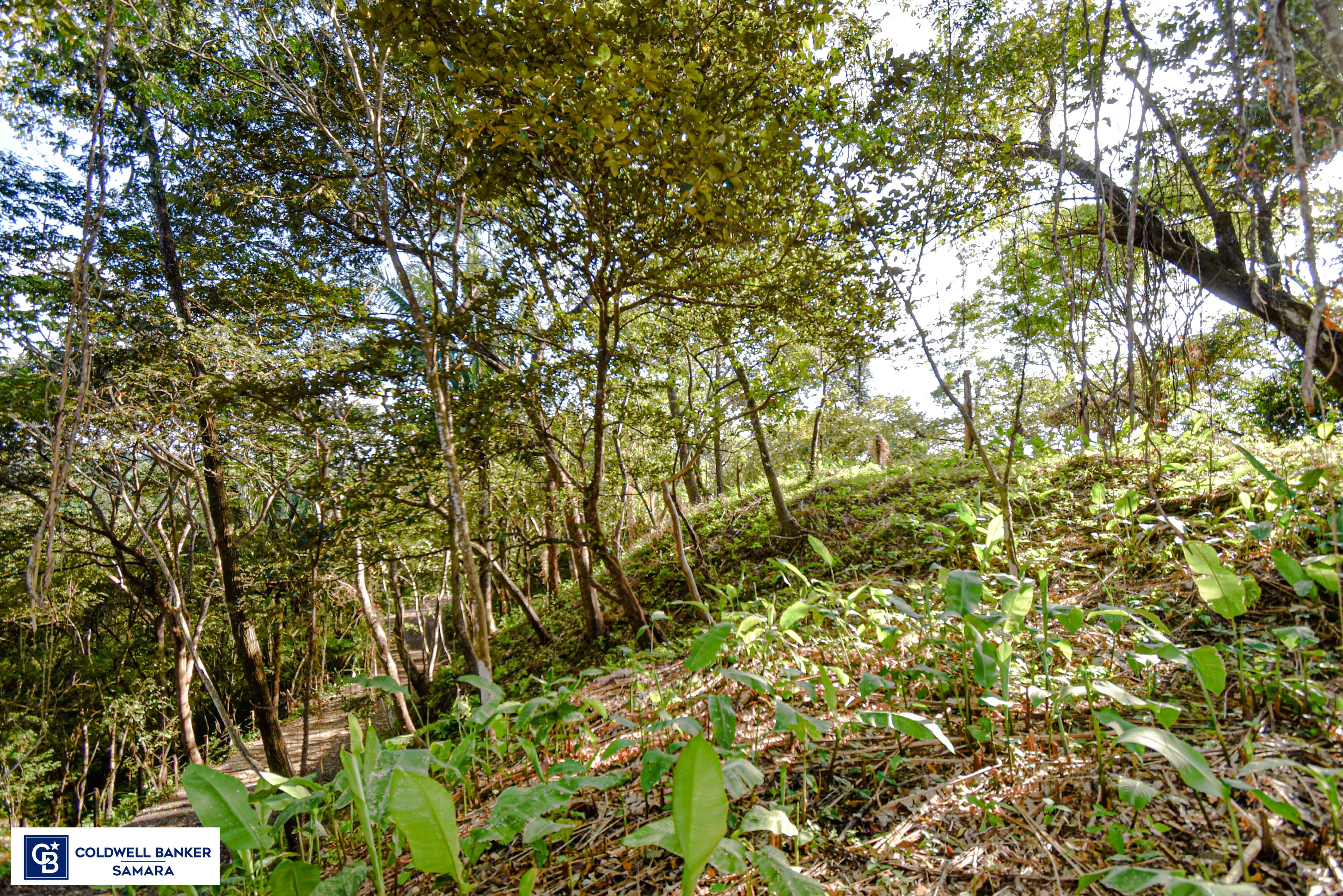 0 bed Land For Sale in Samara, Guanacaste - thumb 23
