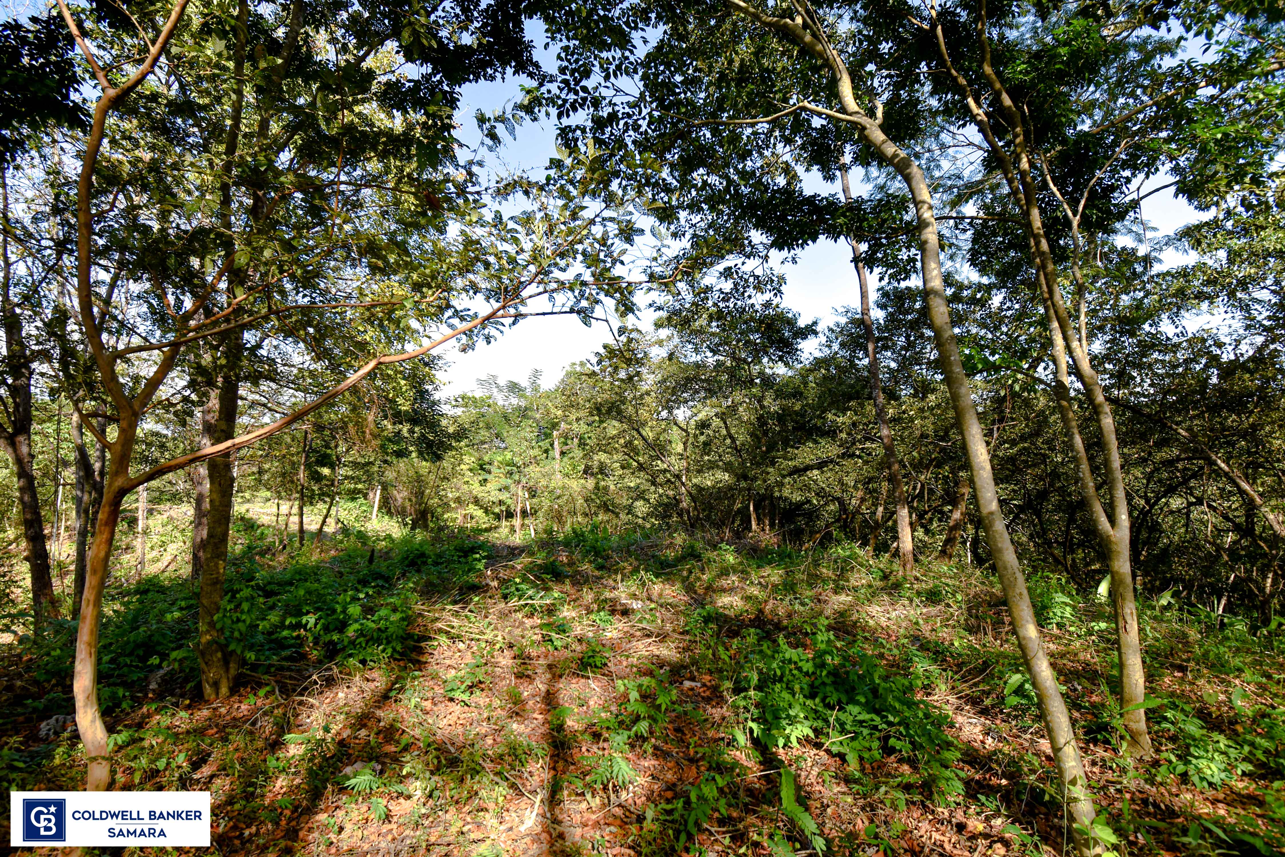 0 bed Land For Sale in Samara, Guanacaste - thumb 16