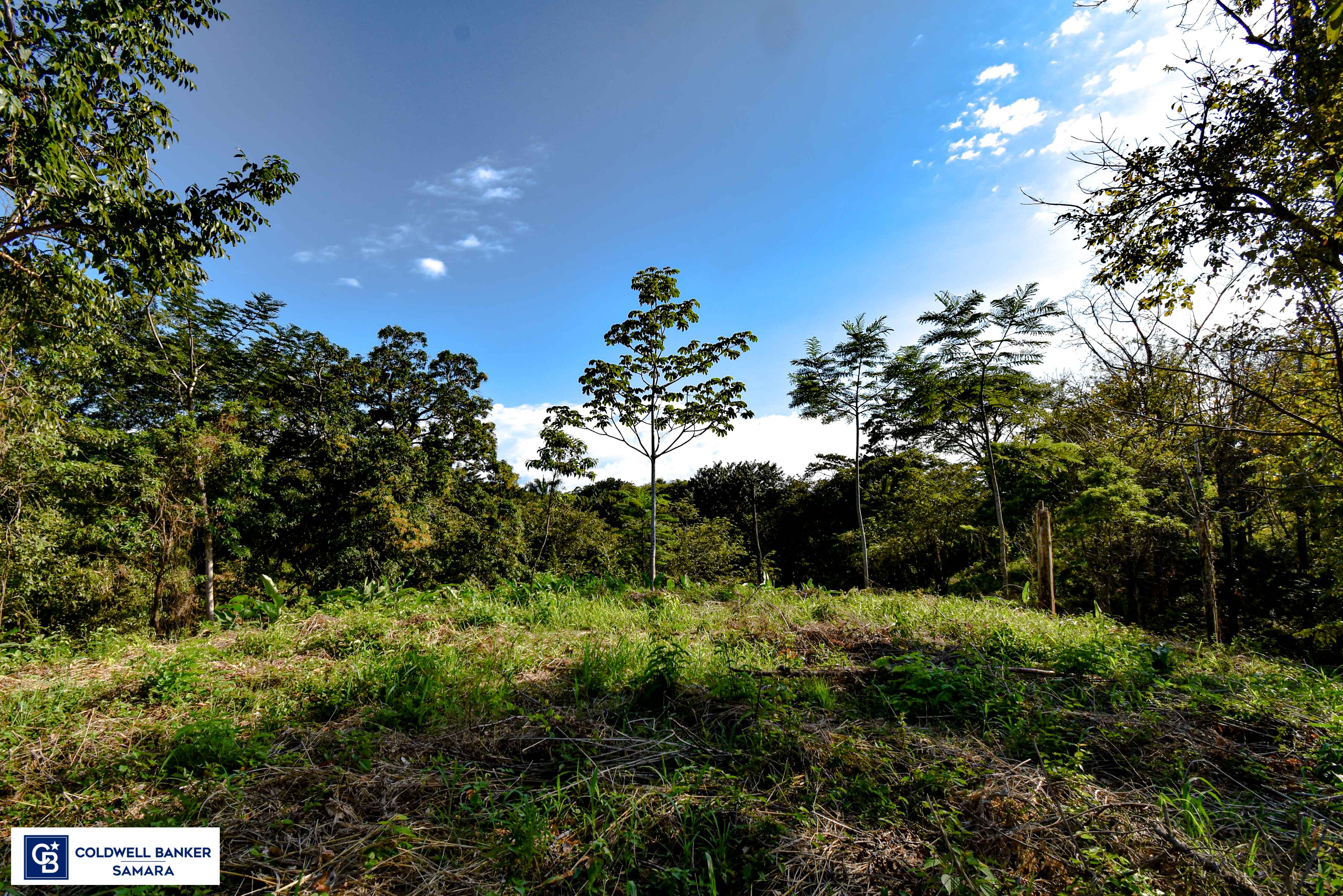 0 bed Land For Sale in Samara, Guanacaste - thumb 10