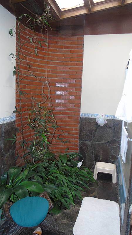 4 bed Single Family Homes For Sale in San Ramon, San Jose - thumb 11