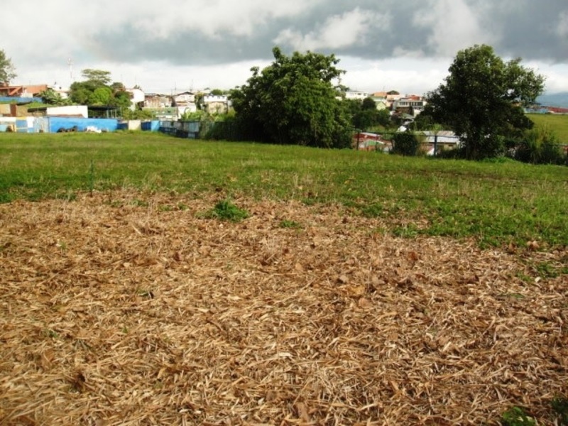 0 bed Land For Sale in Moravia, San Jose - 1