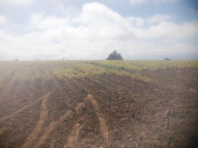 0 bed Land For Sale in Llano Grande, Cartago - 1