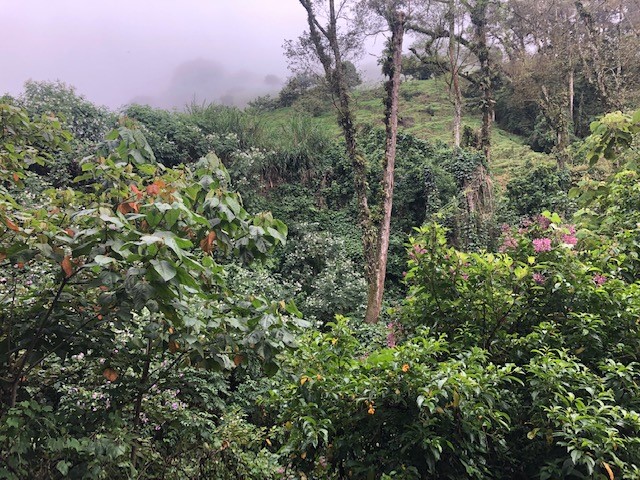 0 bed Land For Sale in San Rafael, San Jose - thumb 2