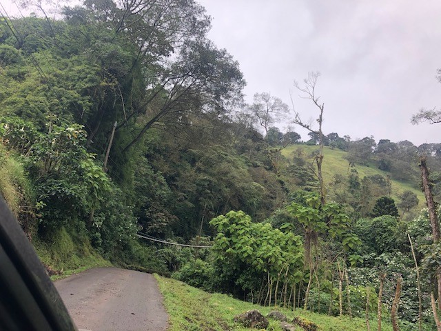 0 bed Land For Sale in San Rafael, San Jose - thumb 1