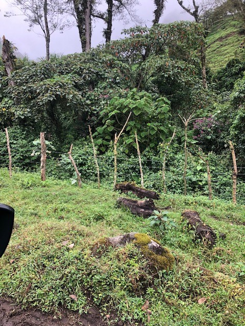 0 bed Land For Sale in San Rafael, San Jose - thumb 3