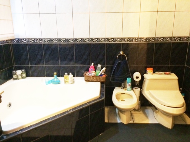 5 bed Single Family Homes For Sale in San Rafael, San Jose - thumb 20