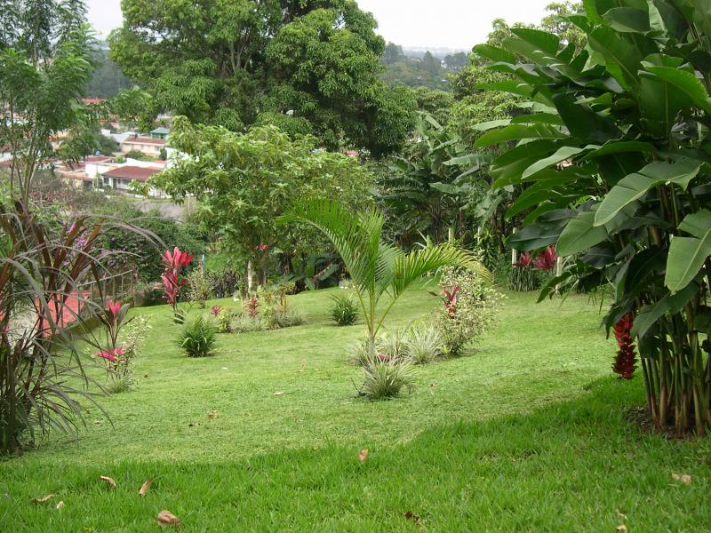 0 bed Land For Sale in Curridabat, San Jose - thumb 2