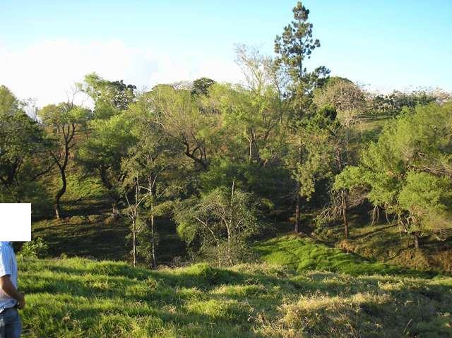 0 bed Land For Sale in Guadalupe, San Jose - thumb 3