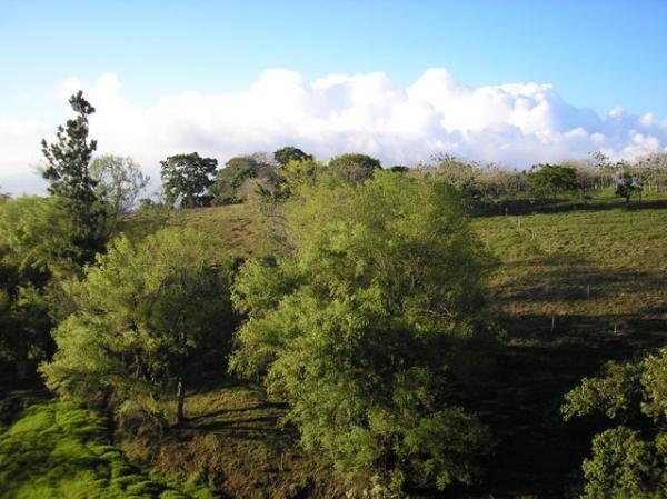 0 bed Land For Sale in Guadalupe, San Jose - thumb 4