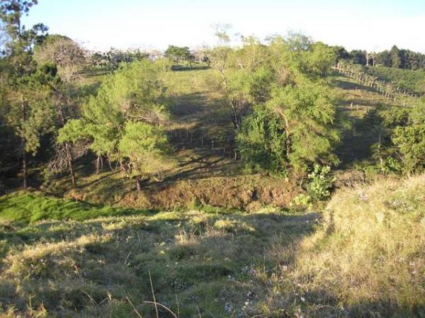 0 bed Land For Sale in Guadalupe, San Jose - thumb 1