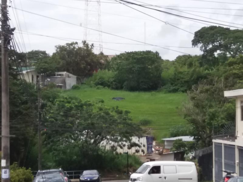 0 bed Land For Sale in Montes de Oca, San Jose - thumb 1