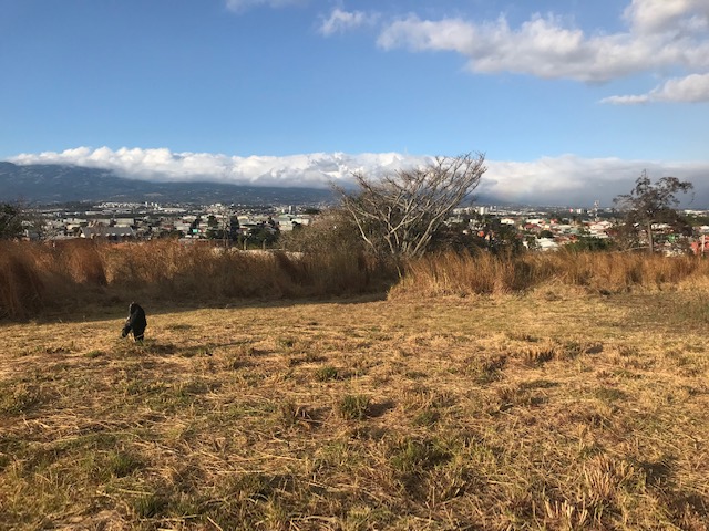 0 bed Land For Sale in Escazu, San Jose - thumb 6